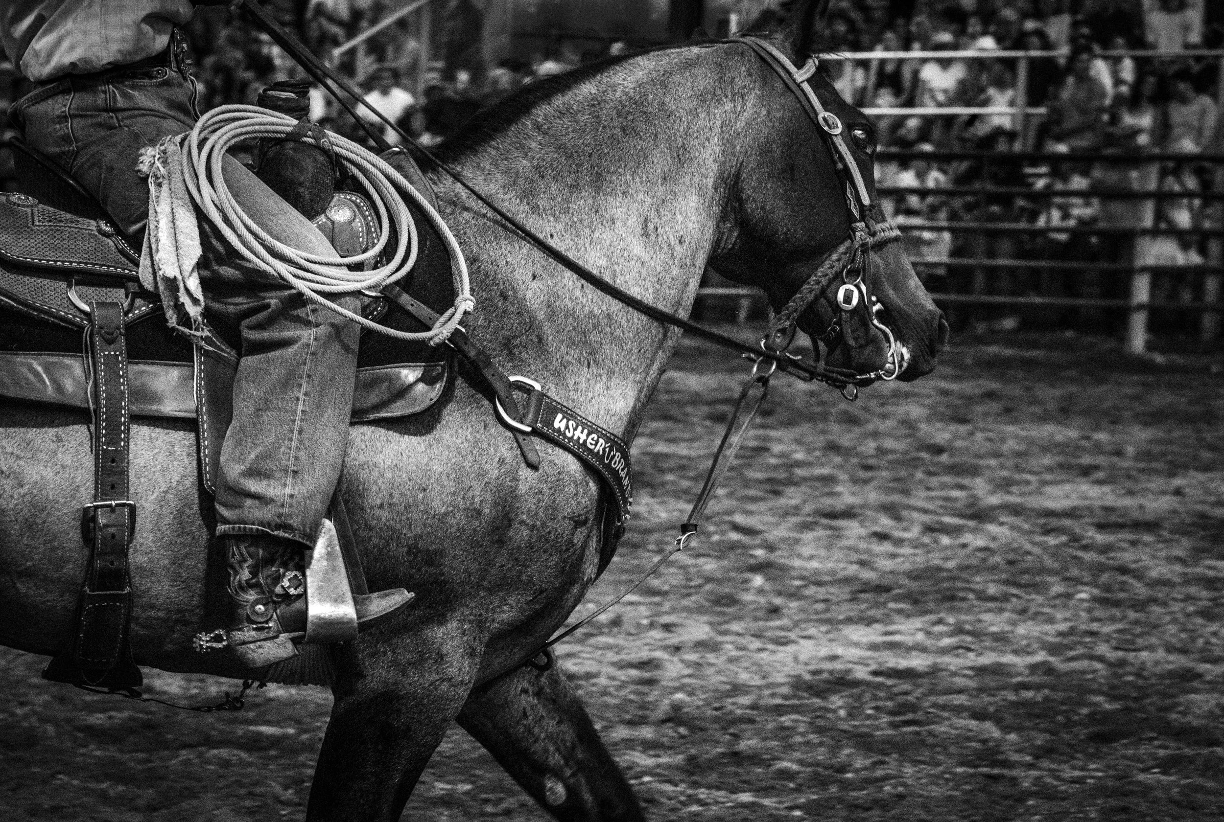 ©AshtonWrightImaging-10.jpg