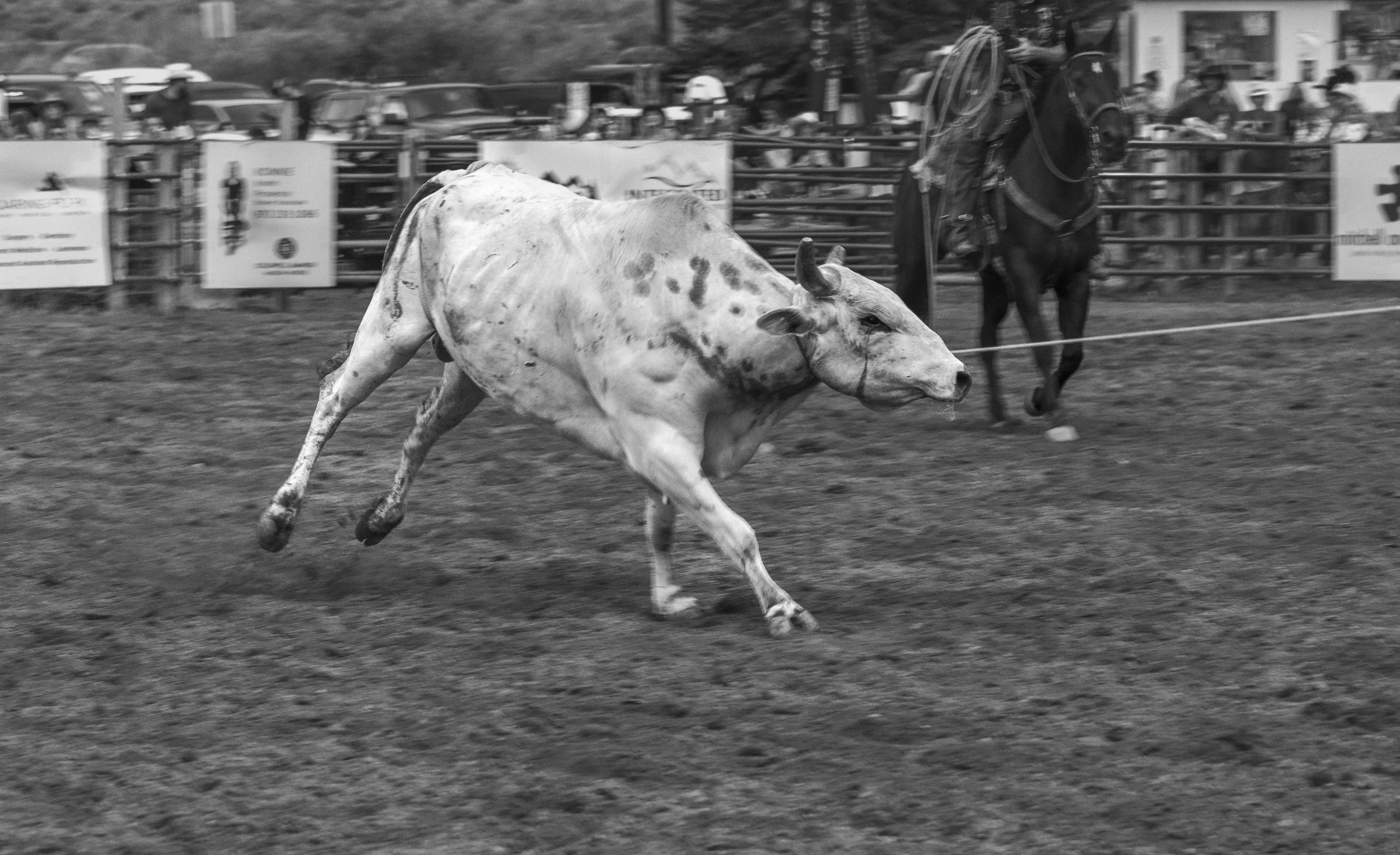 ©AshtonWrightImaging_tug o' war-0287.jpg