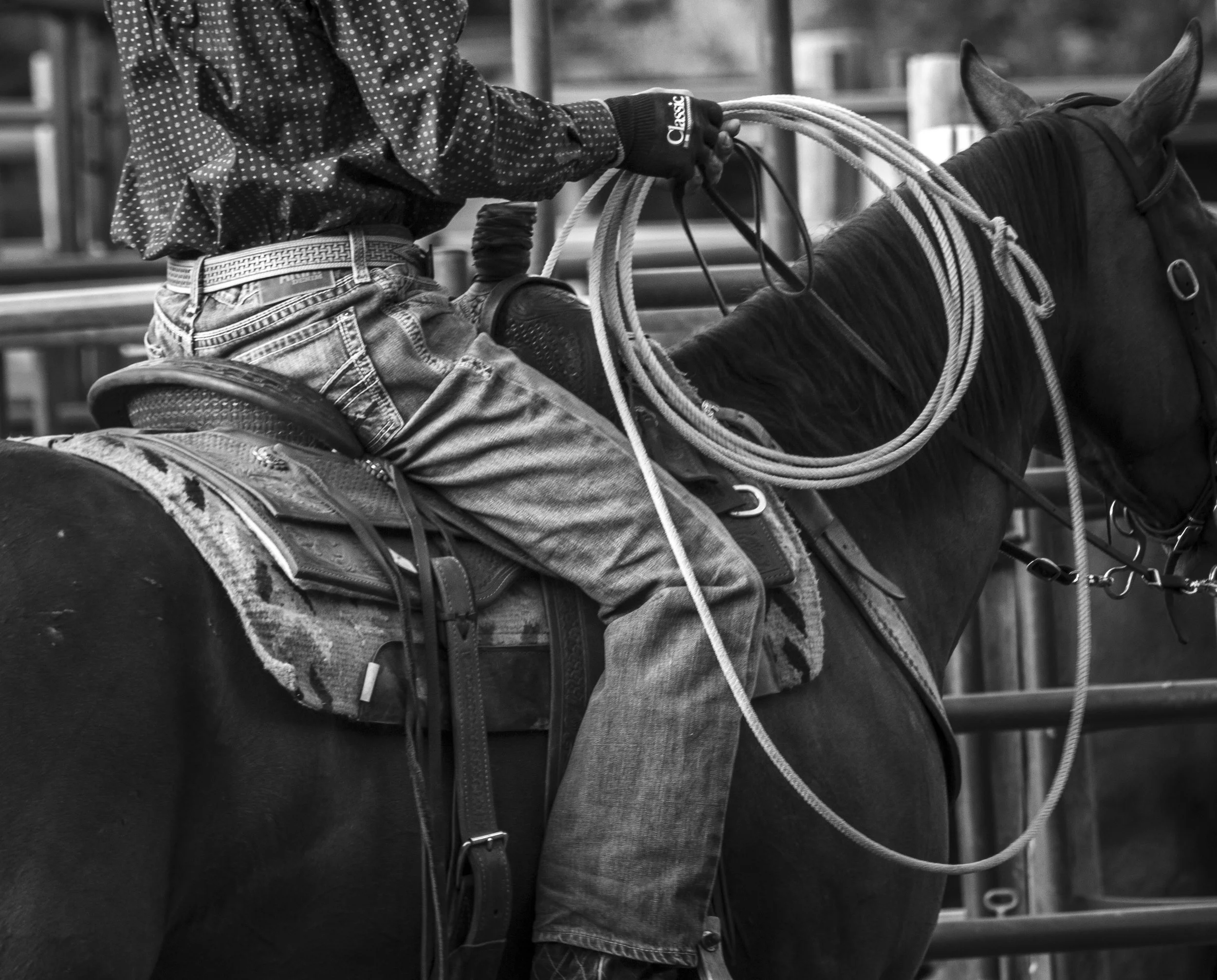 ©AshtonWrightImaging-18.jpg