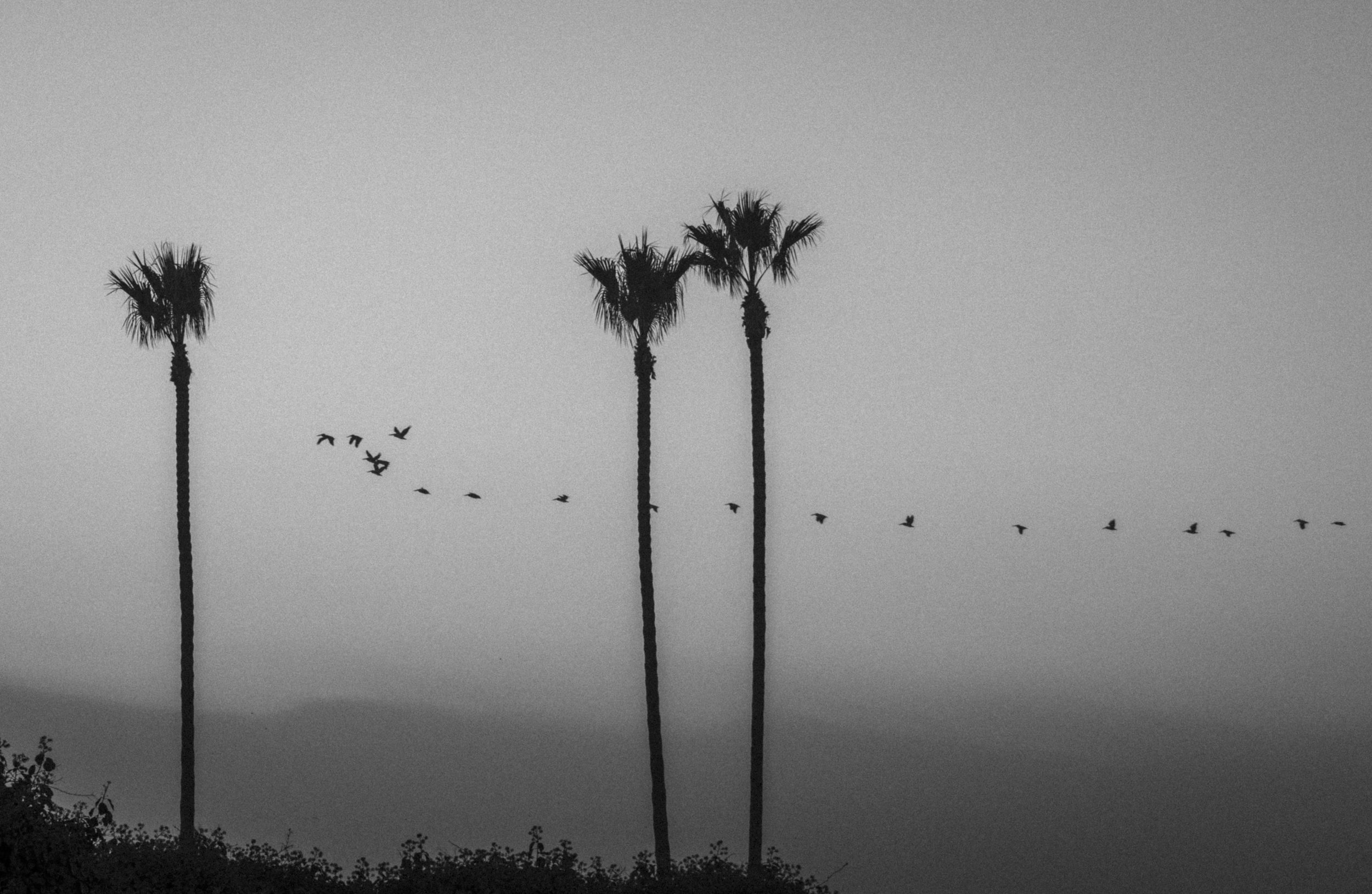 ©AshtonWrightImaging-24.jpg