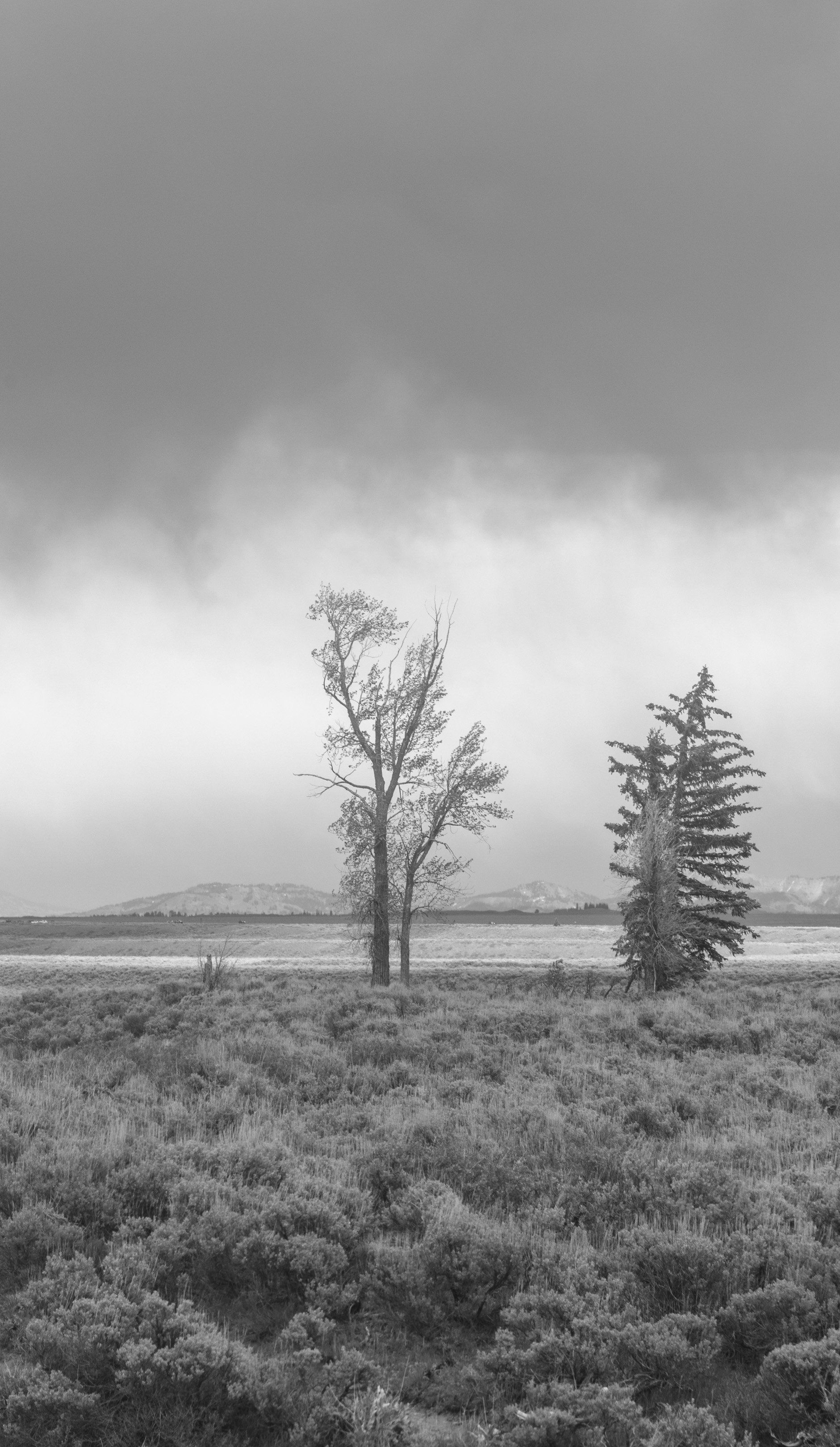 ©AshtonWrightImaging-33.jpg