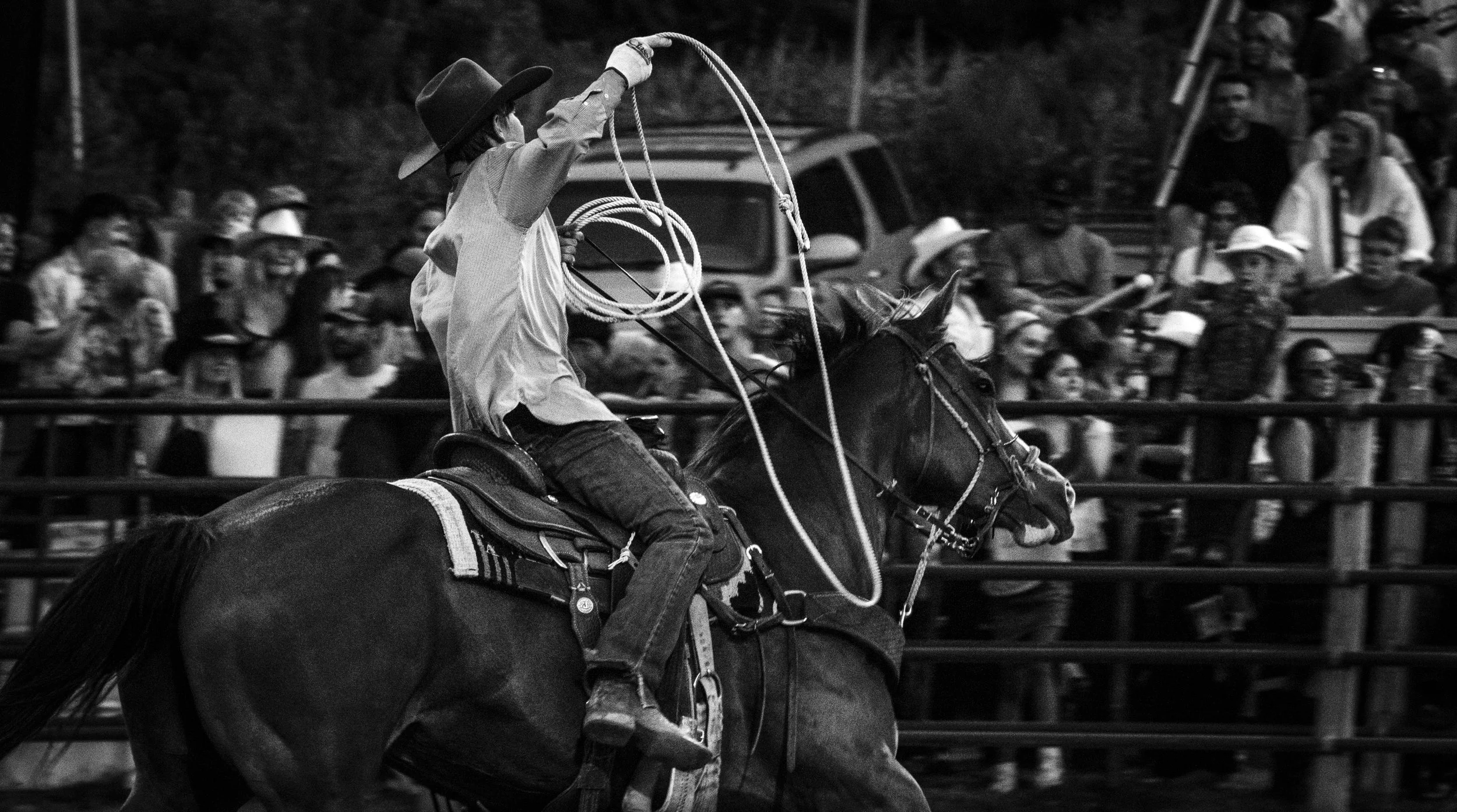 ©AshtonWrightImaging-11.jpg