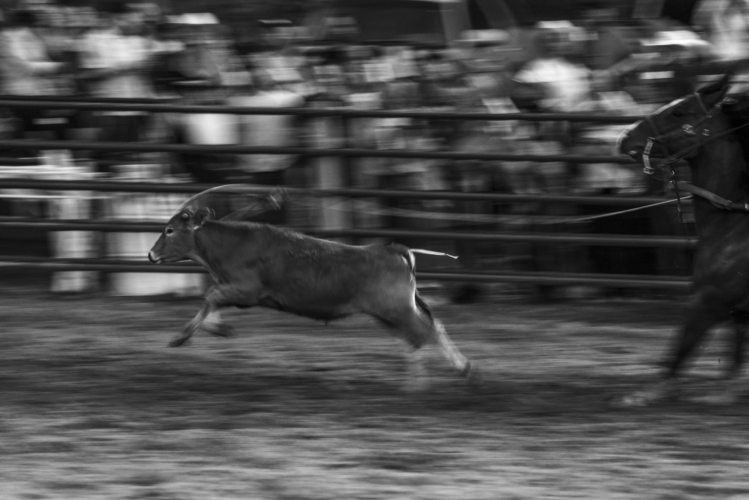 ©AshtonWrightImaging-12.jpg