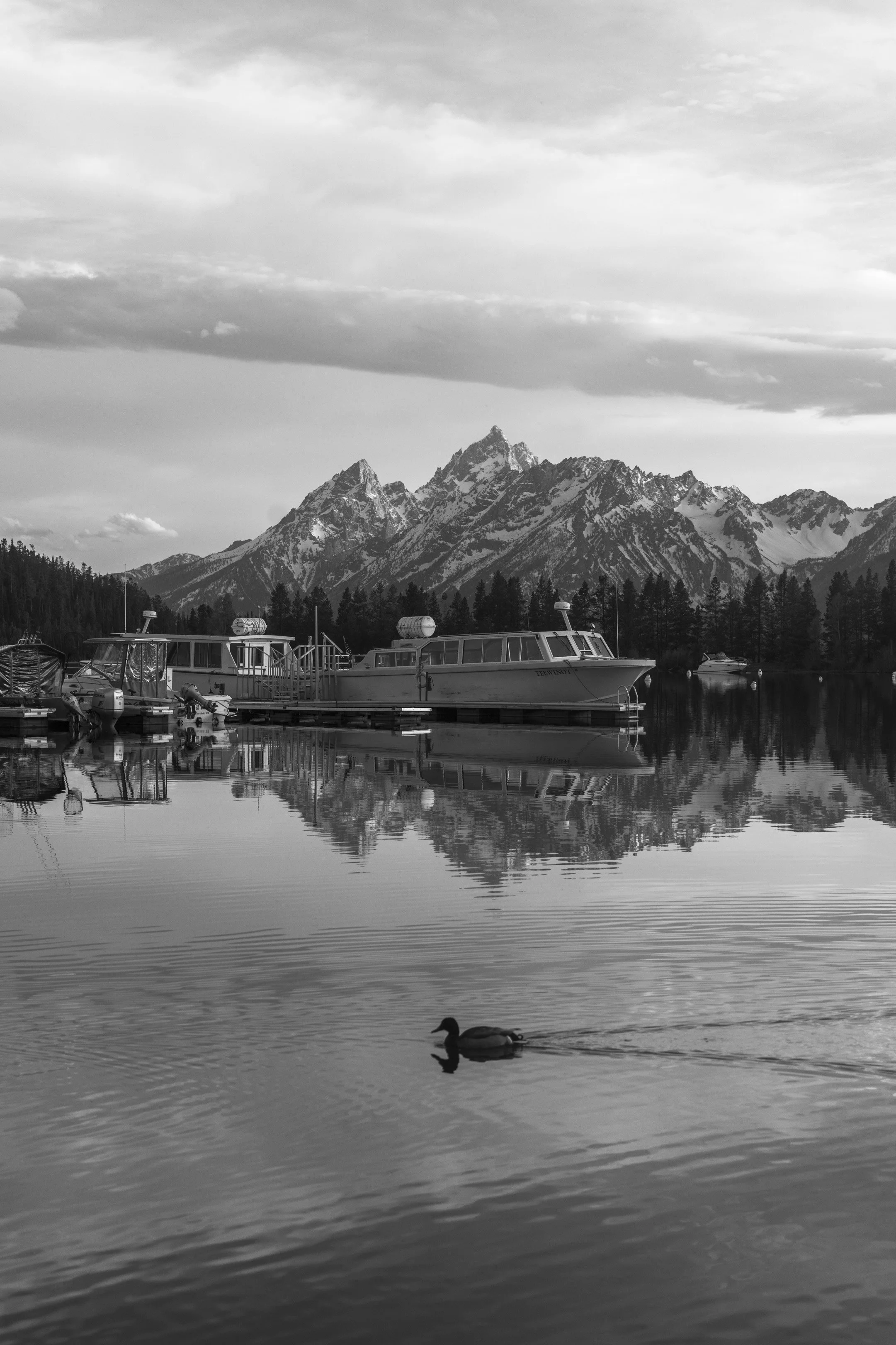 ©AshtonWrightImaging-9.jpg