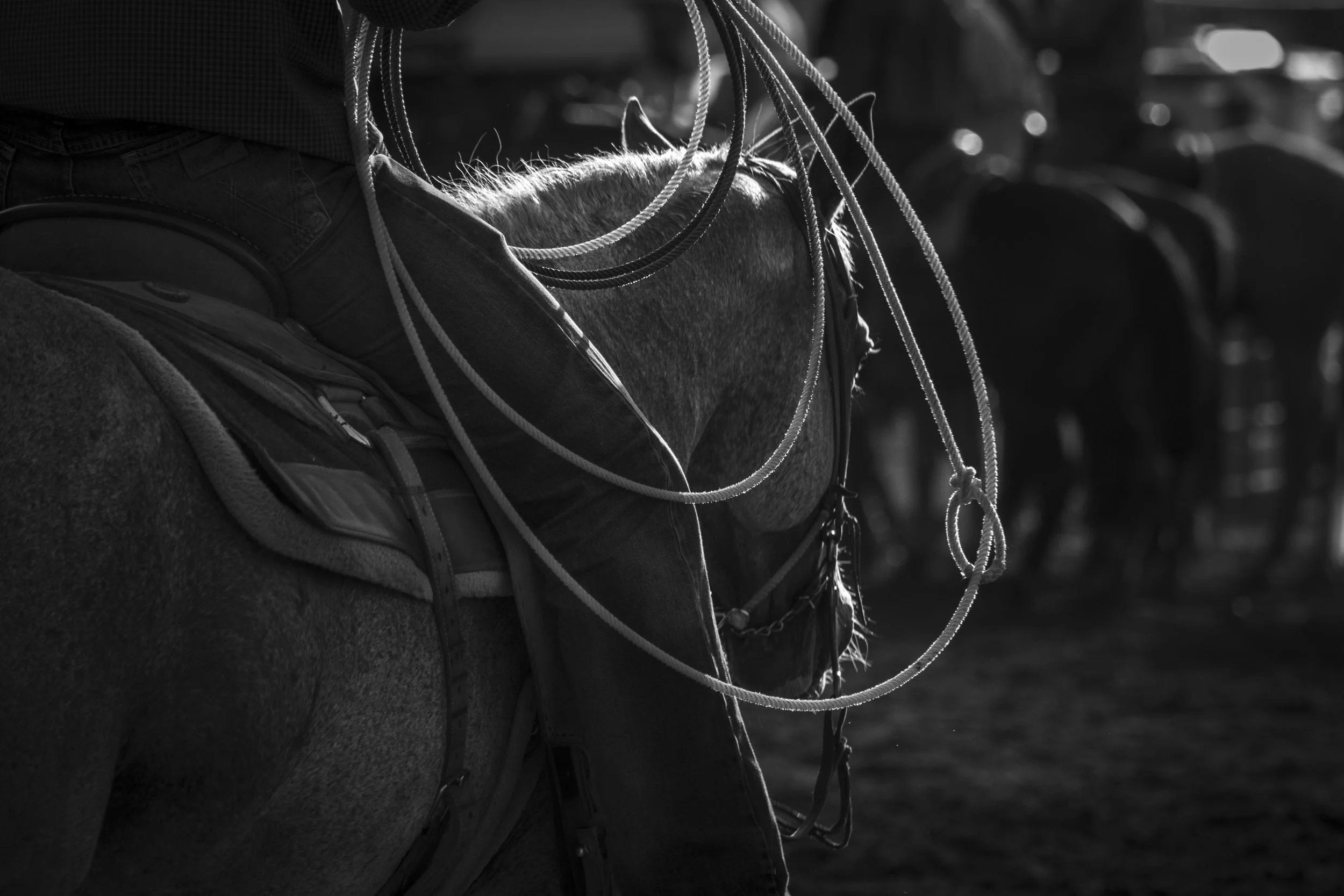 ©AshtonWrightImaging-16.jpg