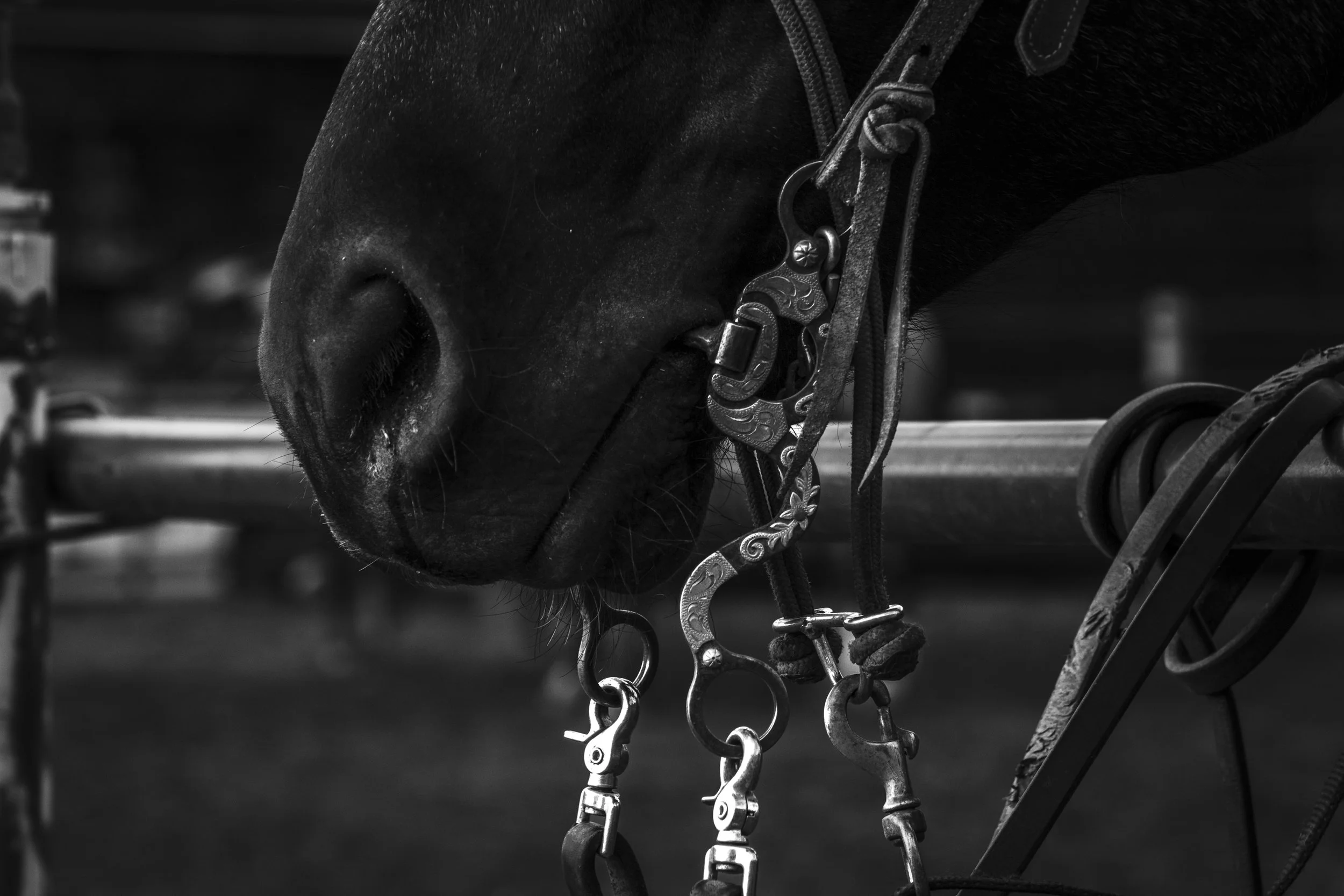 ©AshtonWrightImaging_It's All in the Details.jpg