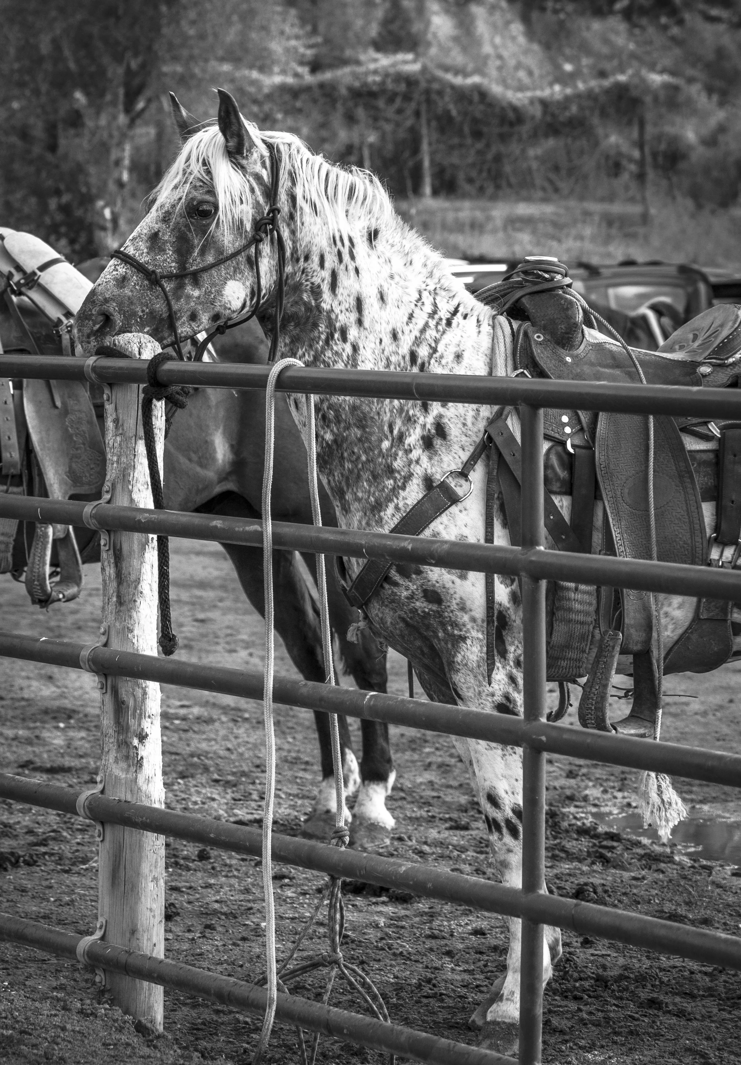 ©AshtonWrightImaging_peak of interest-0135.jpg