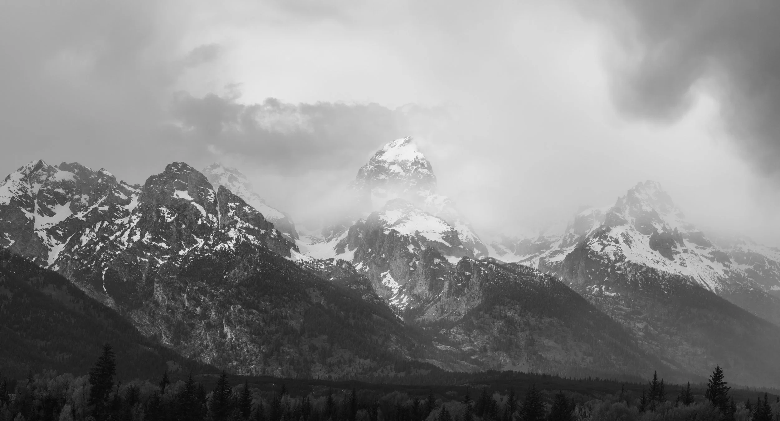 ©AshtonWrightImaging-70.jpg