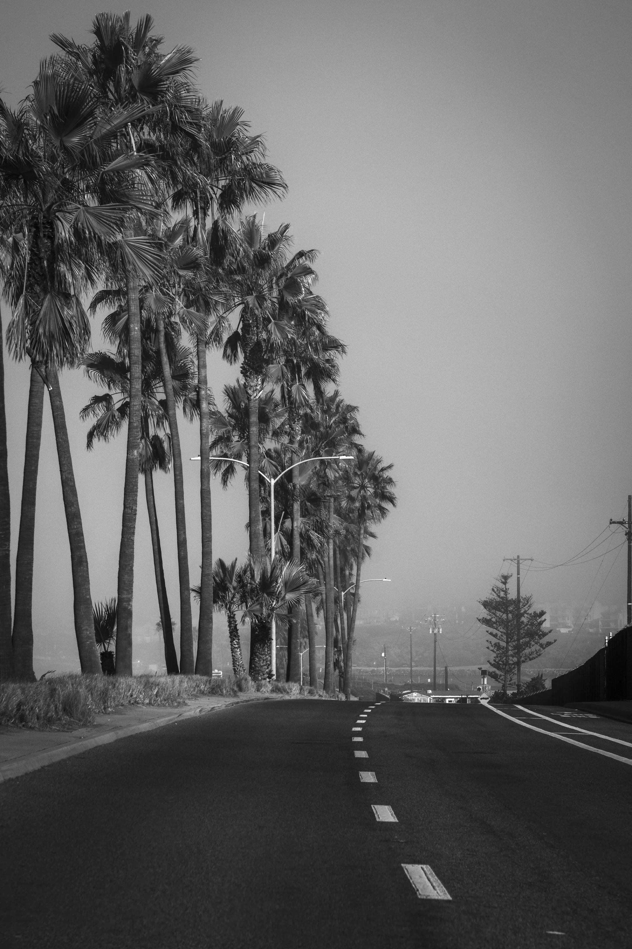 ©AshtonWrightImaging-23.jpg