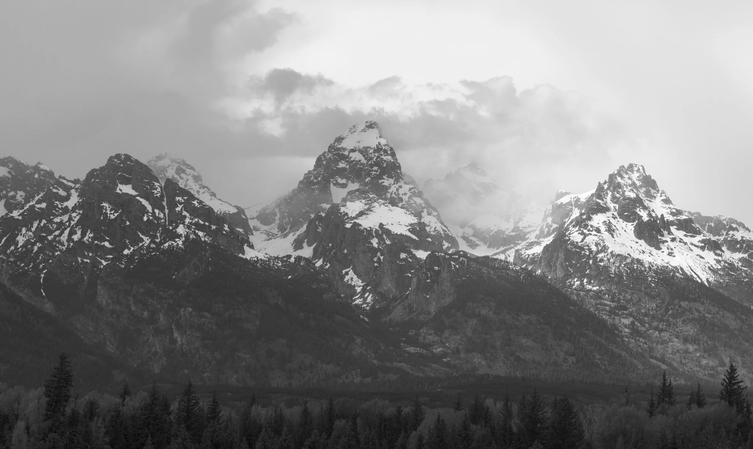©AshtonWrightImaging-31.jpg