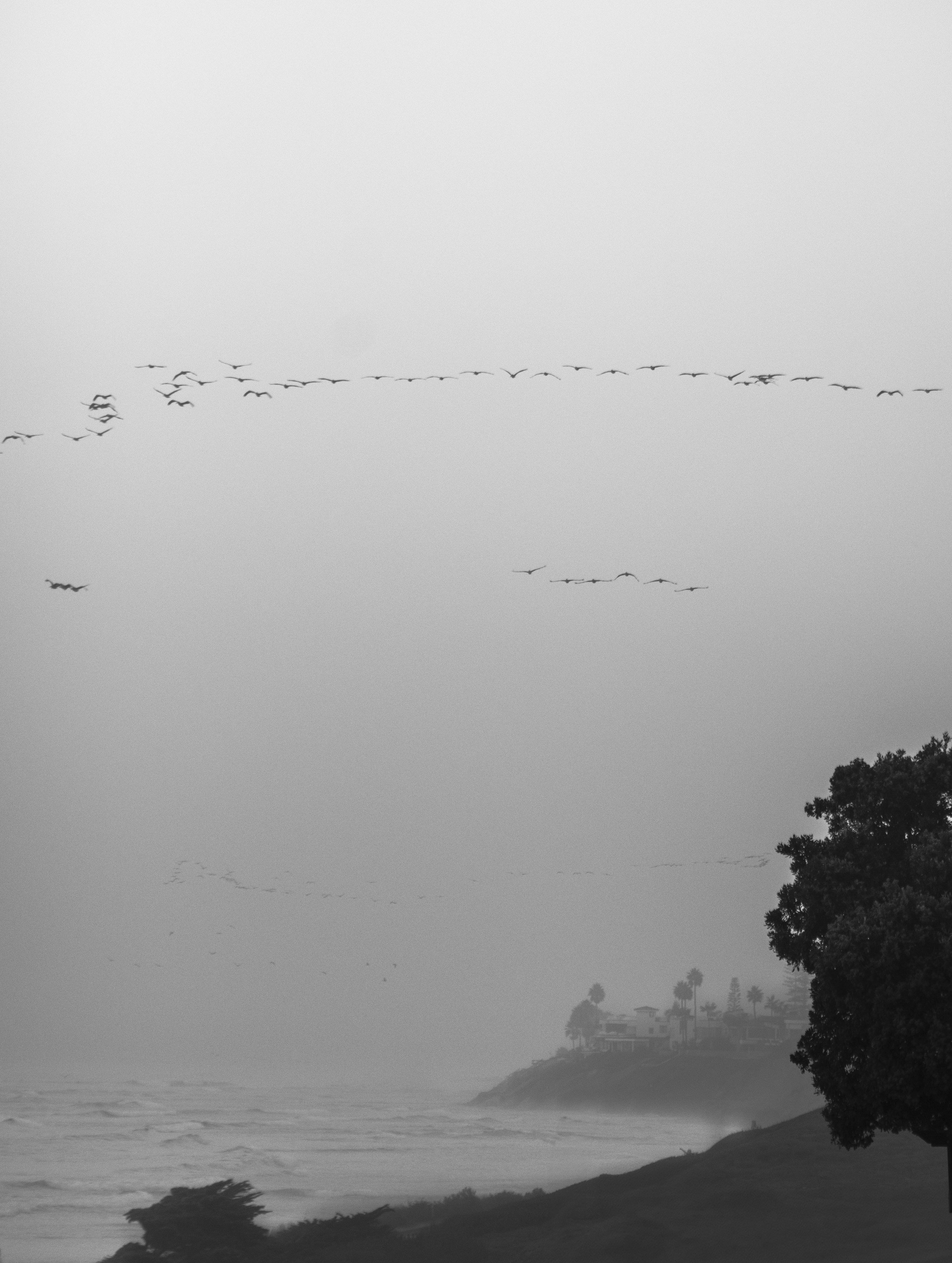©AshtonWrightImaging-25.jpg