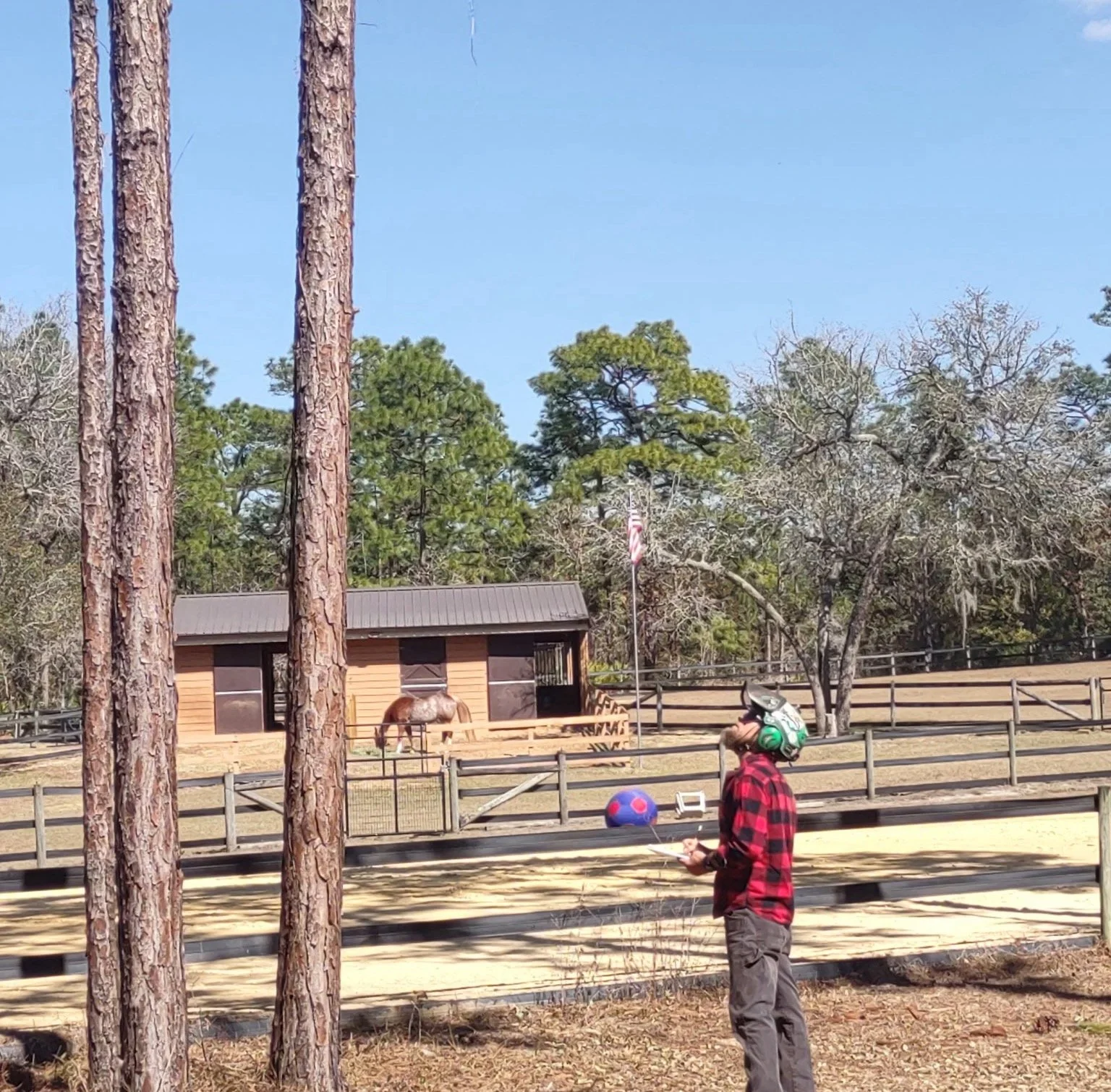 What Does an Arborist Report Cost in Florida?