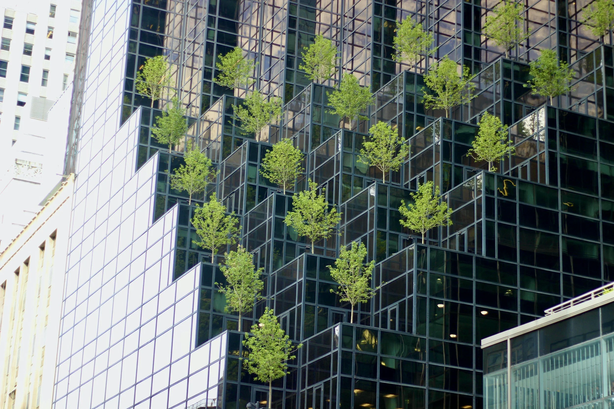 Modern glass building with a grid of windows and small green trees growing in planters on the ledges.