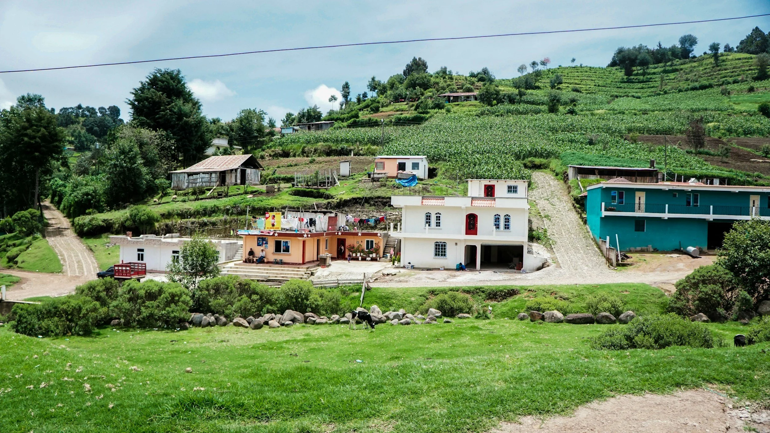 Hilly landscape with colorful houses, some on stilts, surrounded by greenery and cultivated land, with cows grazing in the foreground.