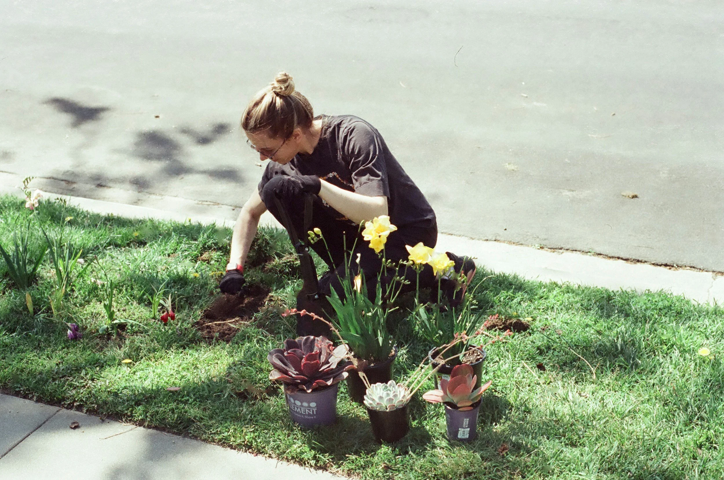EVENT: Girl Scout Planting at VNWMP (Rain date 5/29)