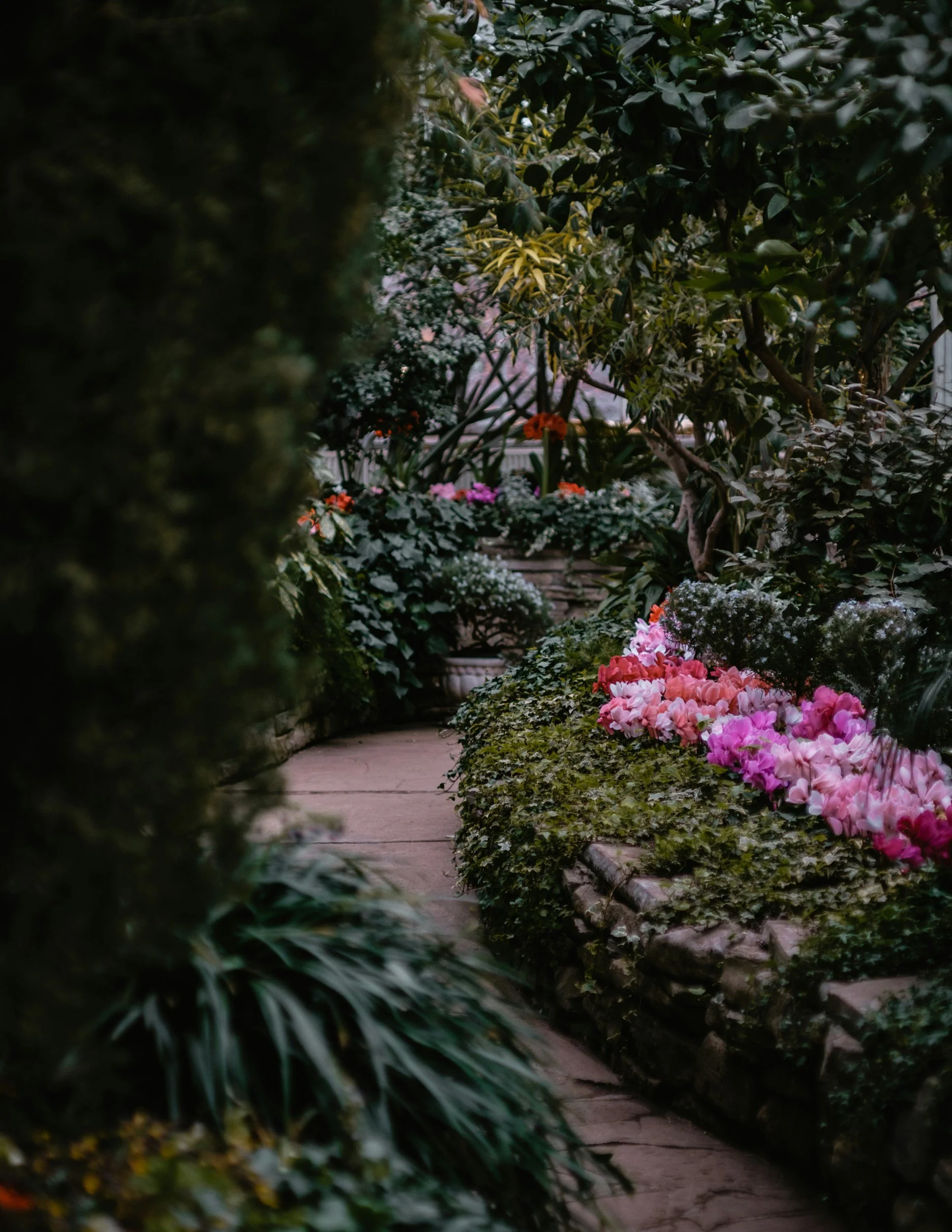 PROGRAM: Our Hope Association- Garden Therapy