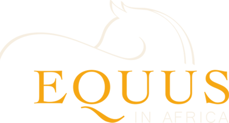 A graphic with a black and white background and yellow text.