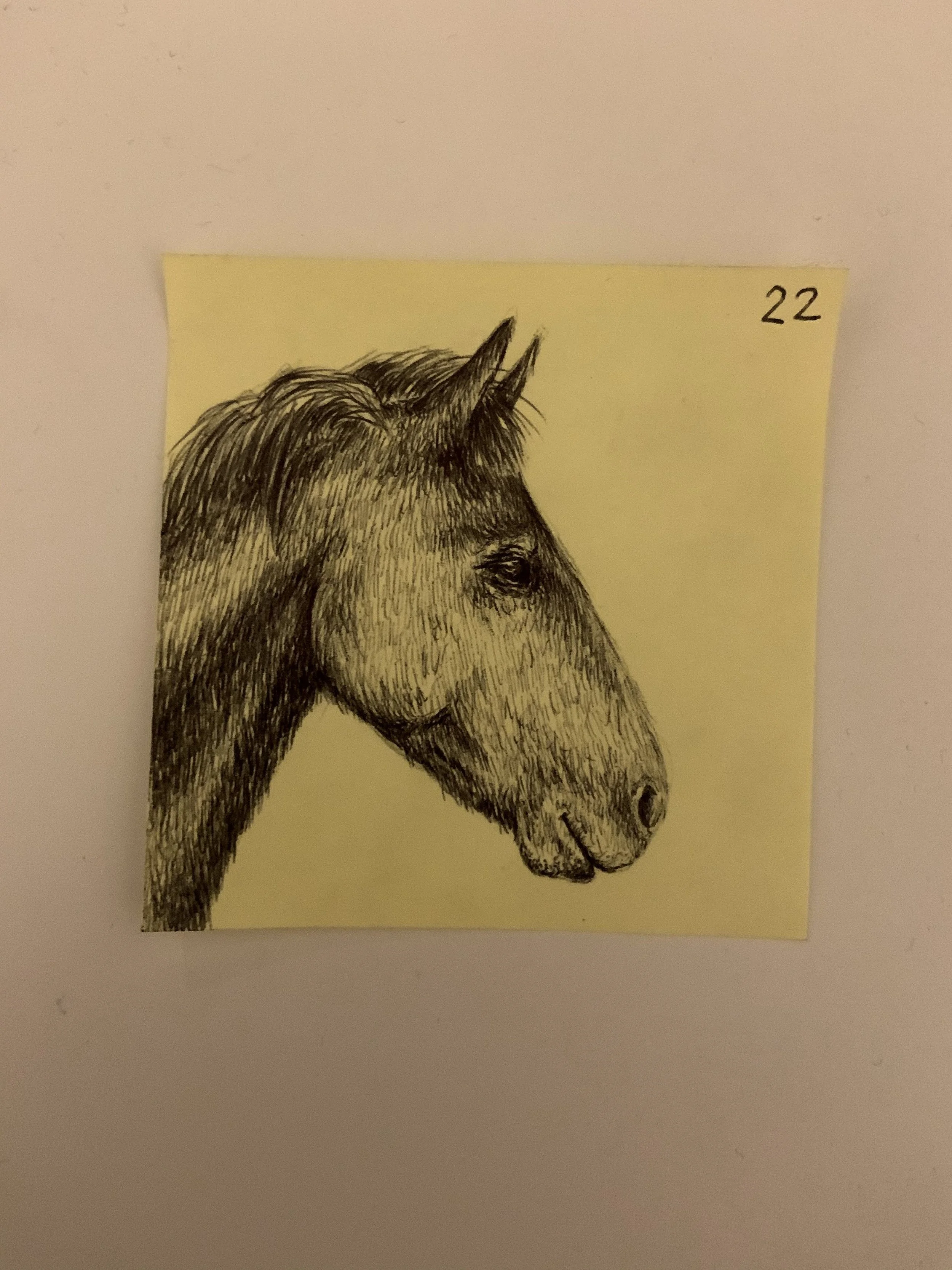 IMG_3858.jpeg