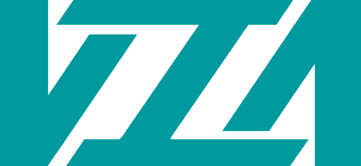 VIA DELIVERY &amp; LOGISTICS