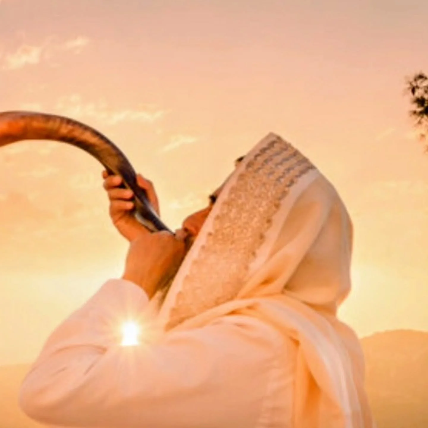 For the past 3 days, the Holy Spirit has placed Prophetic Watchmen in my spirit. There is an urgency in the spirit for us to arise, pray, war, and guard the gates!!

I heard the Holy Spirit say: &ldquo;I am awakening My Watchmen in America and the na