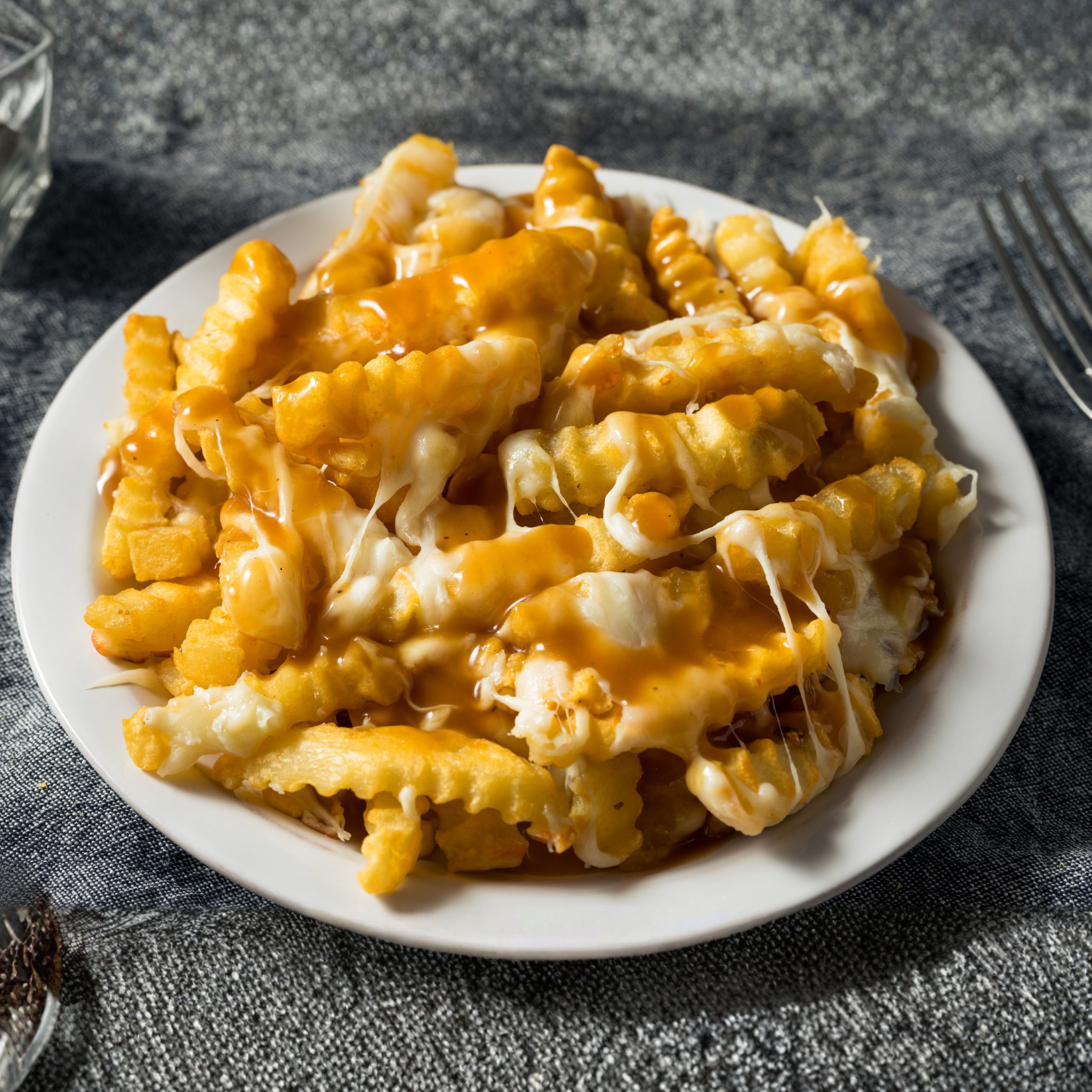 Disco Fries