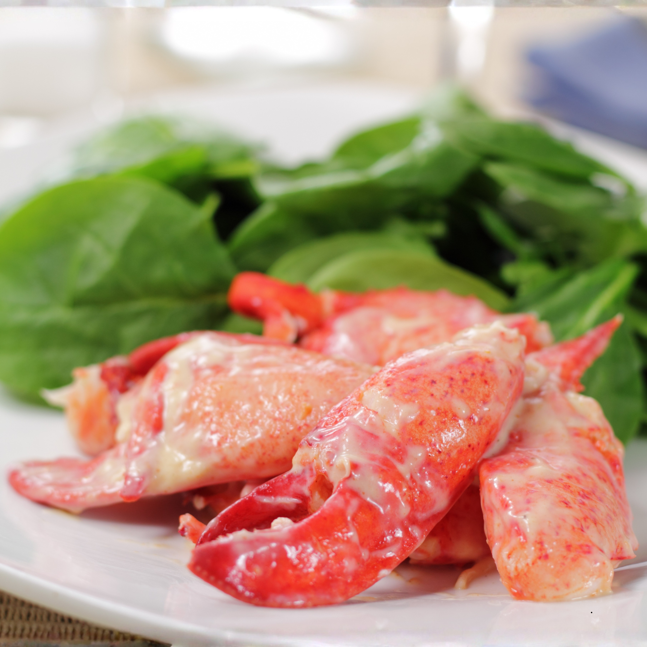 Lobster Newburg