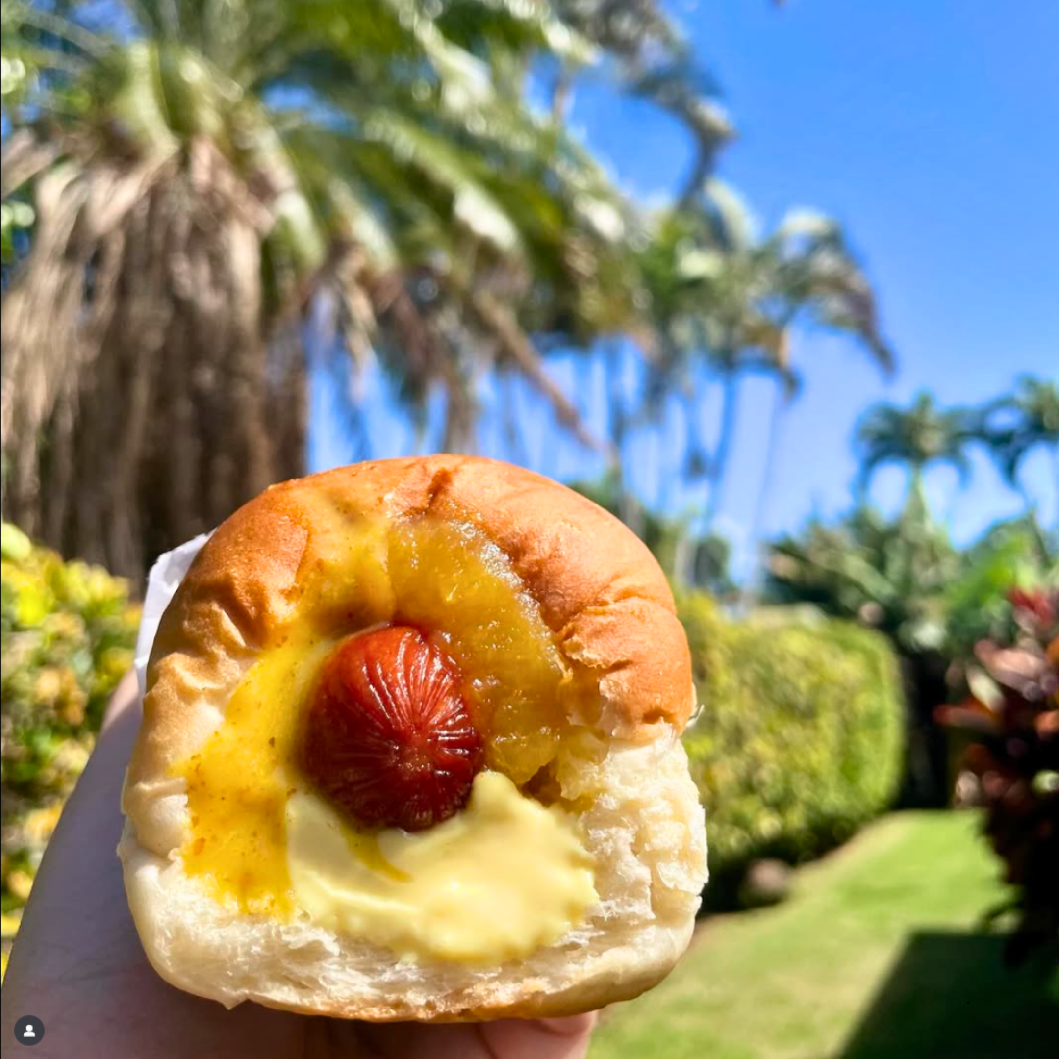 Puka Dog 1080 x 1080.png