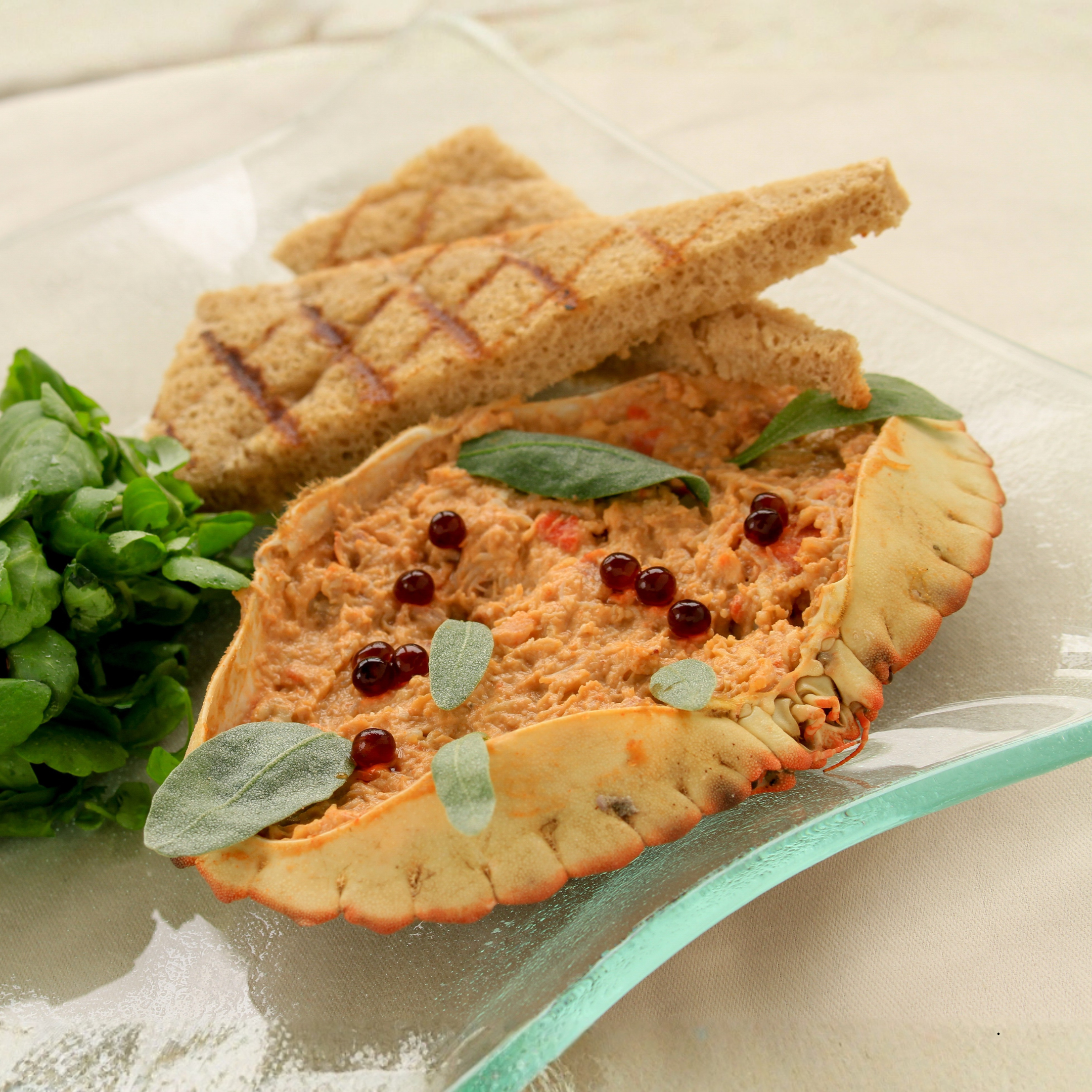 Deviled Crab Canva 1080 x 1080.png