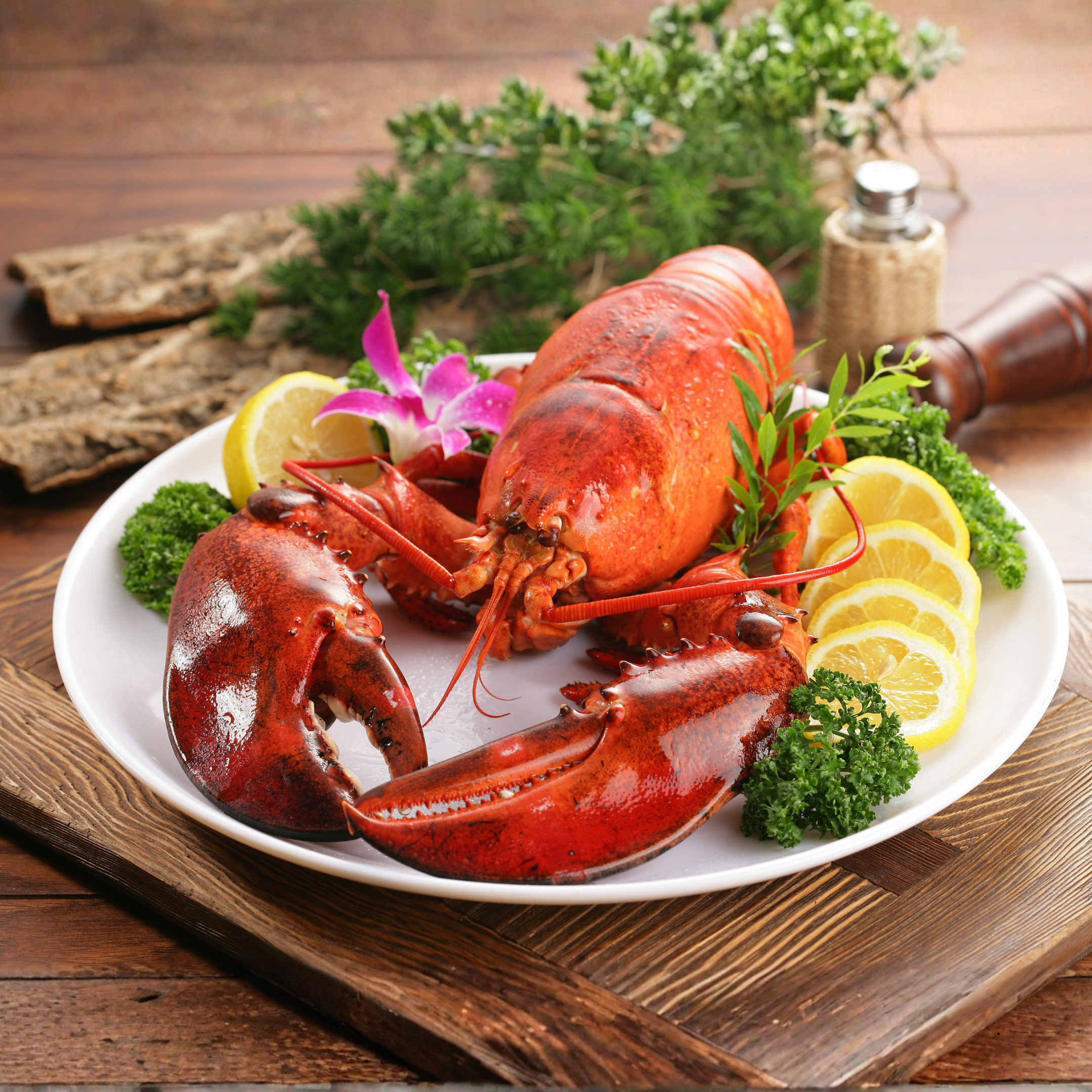 Boiled Maine Lobster Canva 1080 x 1080.png