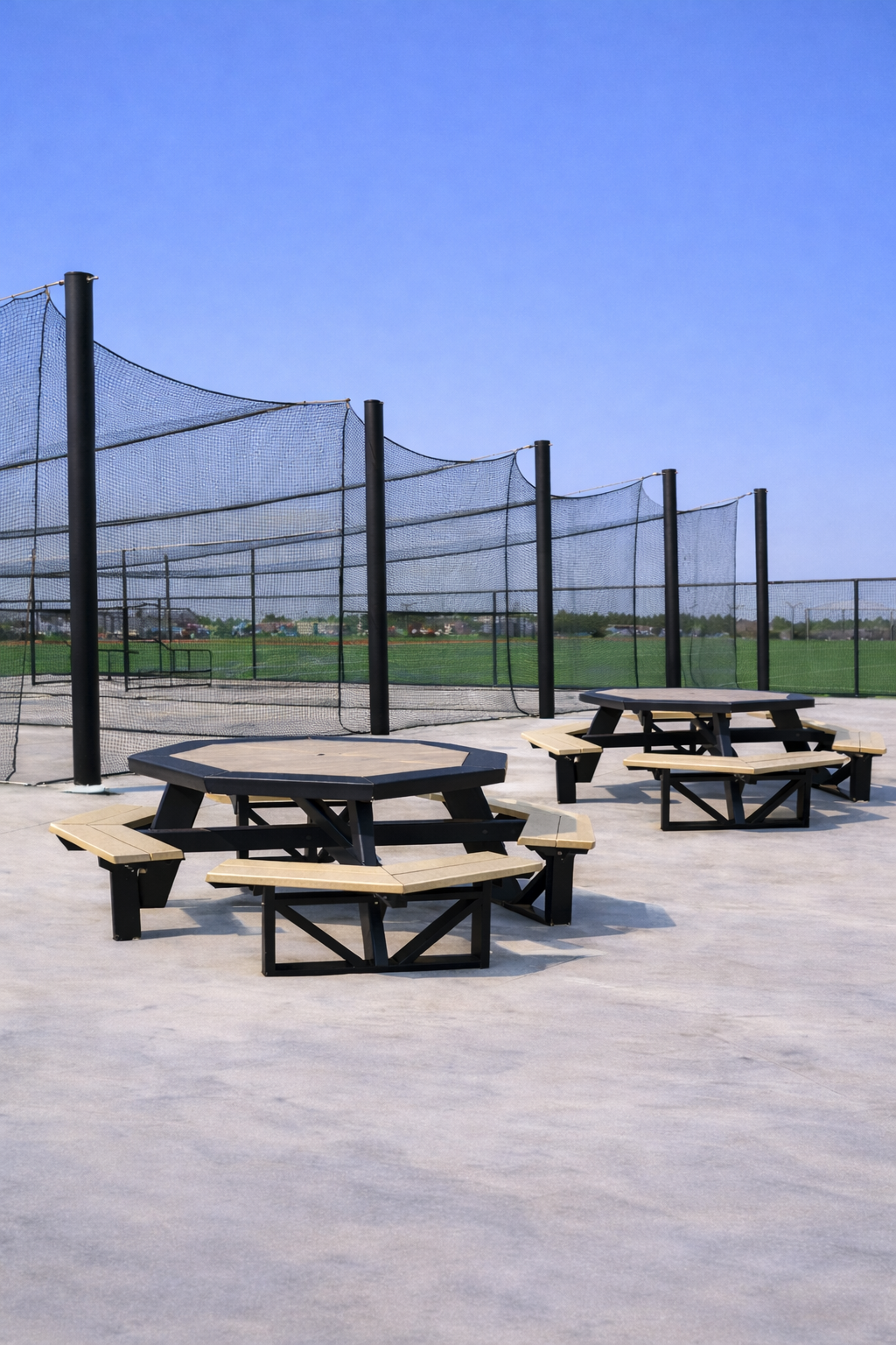 The Commons Collection