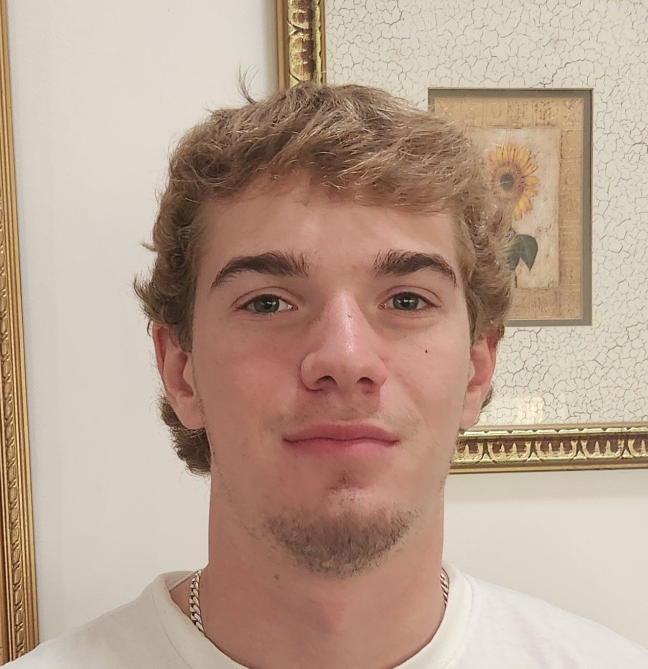 A young man with light skin, wavy light brown hair, and a slight goatee is taking a selfie indoors. In the background, there is a framed sunflower artwork on a textured wall.