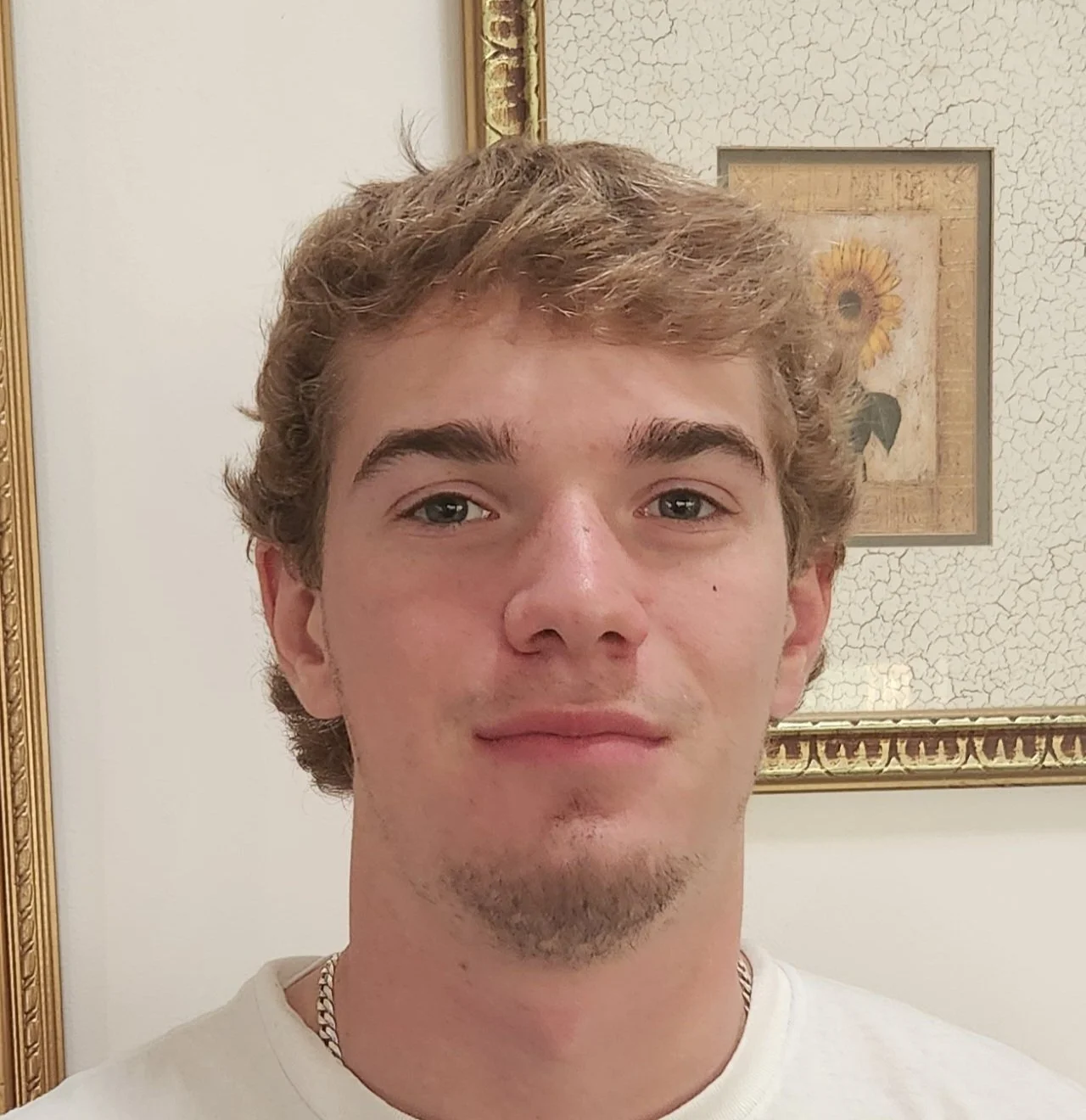 Close-up of a young man with light brown, wavy hair, light complexion, and a slight goatee, standing indoors in front of a framed picture of a sunflower on a textured wall.