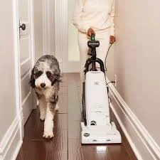 Person vacuuming a hallway with a dog standing nearby