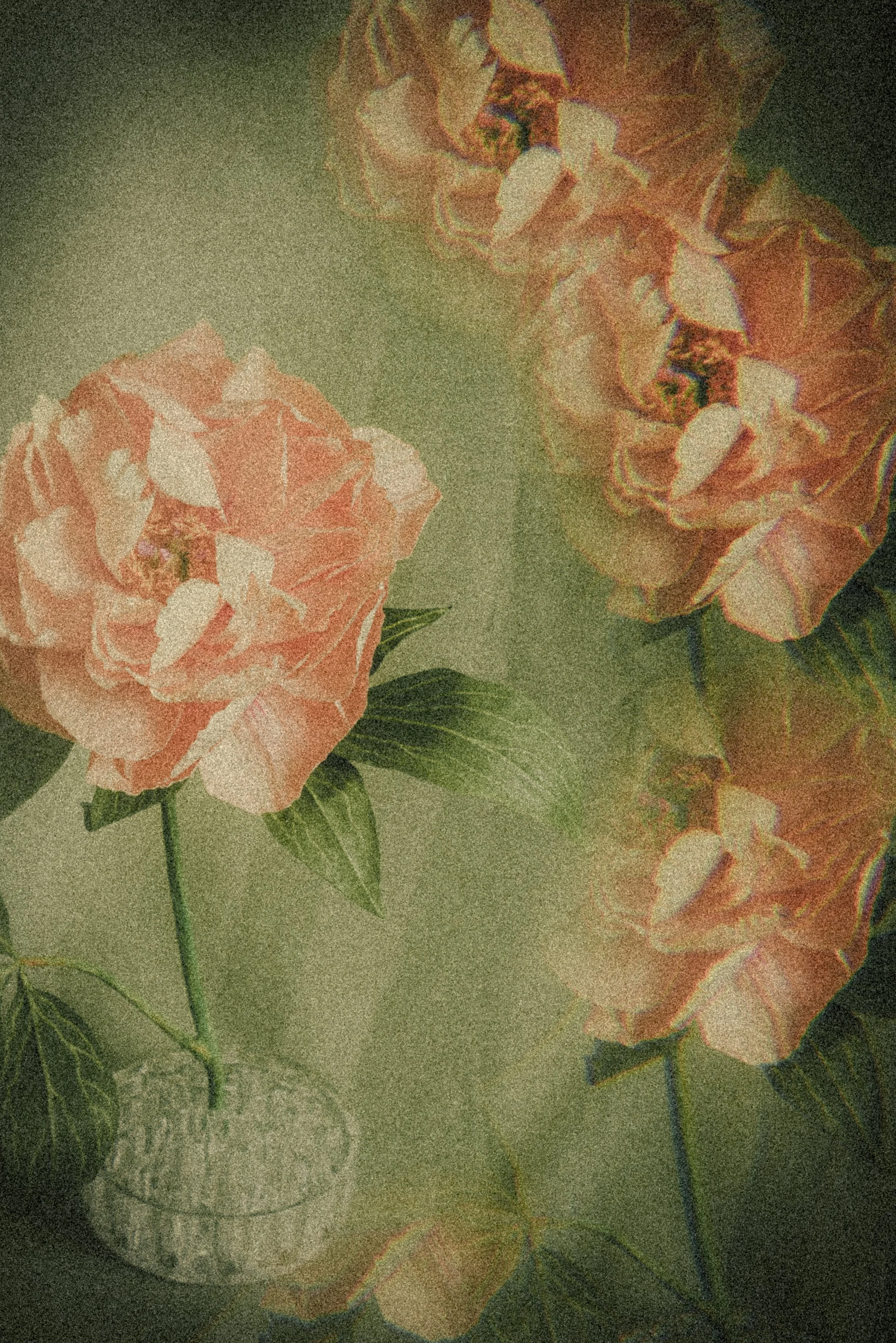 2026_03_KirstieFox_GoldenAgeBotanicals-14.jpg