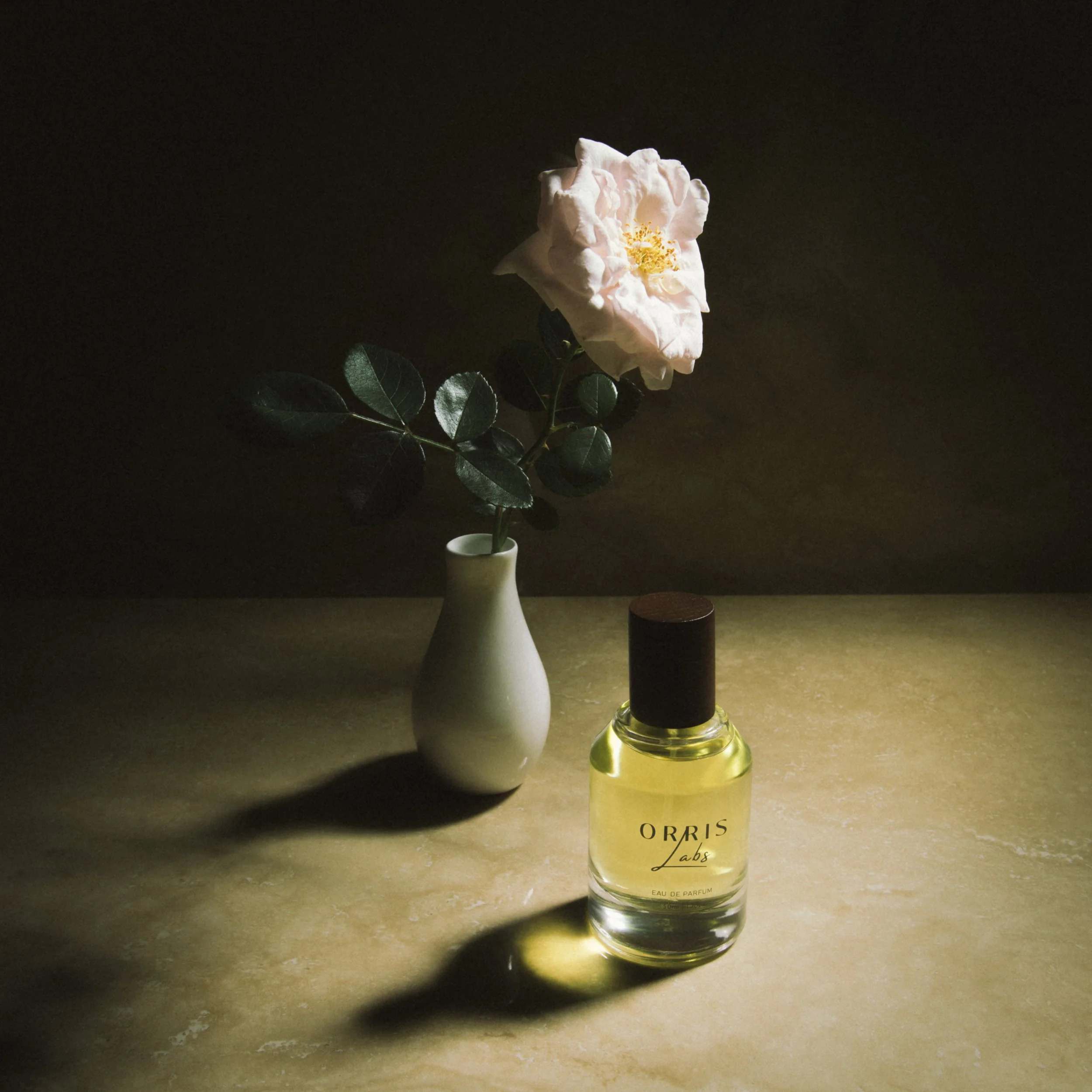 Still-life of a white vase holding a pink rose with green leaves beside an Orris Labs perfume bottle on a textured light brown surface, illuminated by dramatic light and shadows