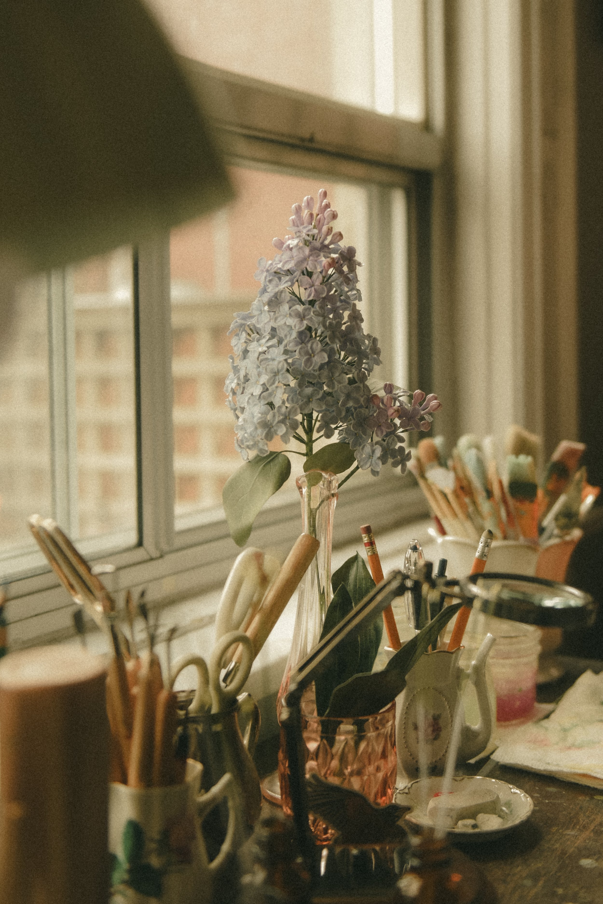 2026_03_KirstieFox_GoldenAgeBotanicals-83.jpg