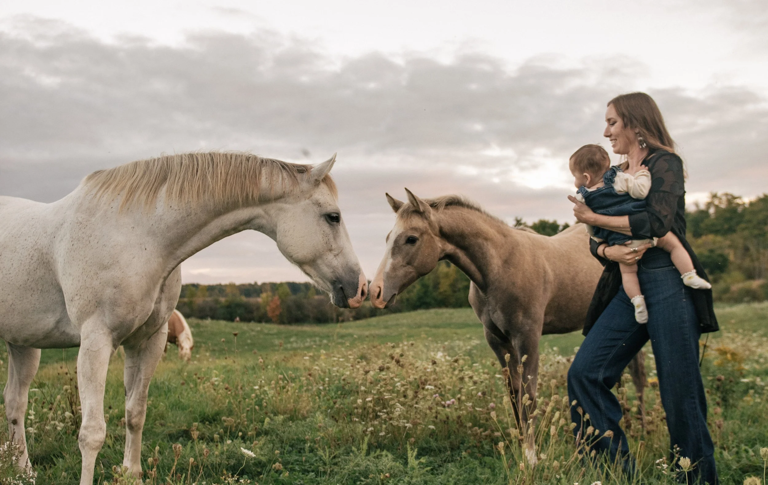 A woman holding a young child stands on a grassy field, facing two horses that are close together, with trees and a cloudy sky in the background.