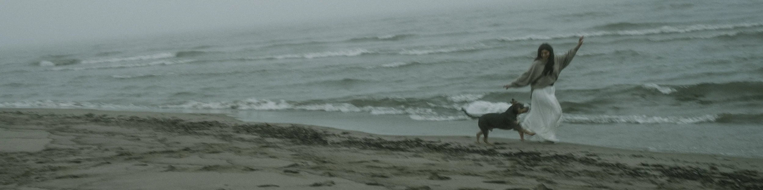 A woman and a dog walking along the beach near the water at sunset.