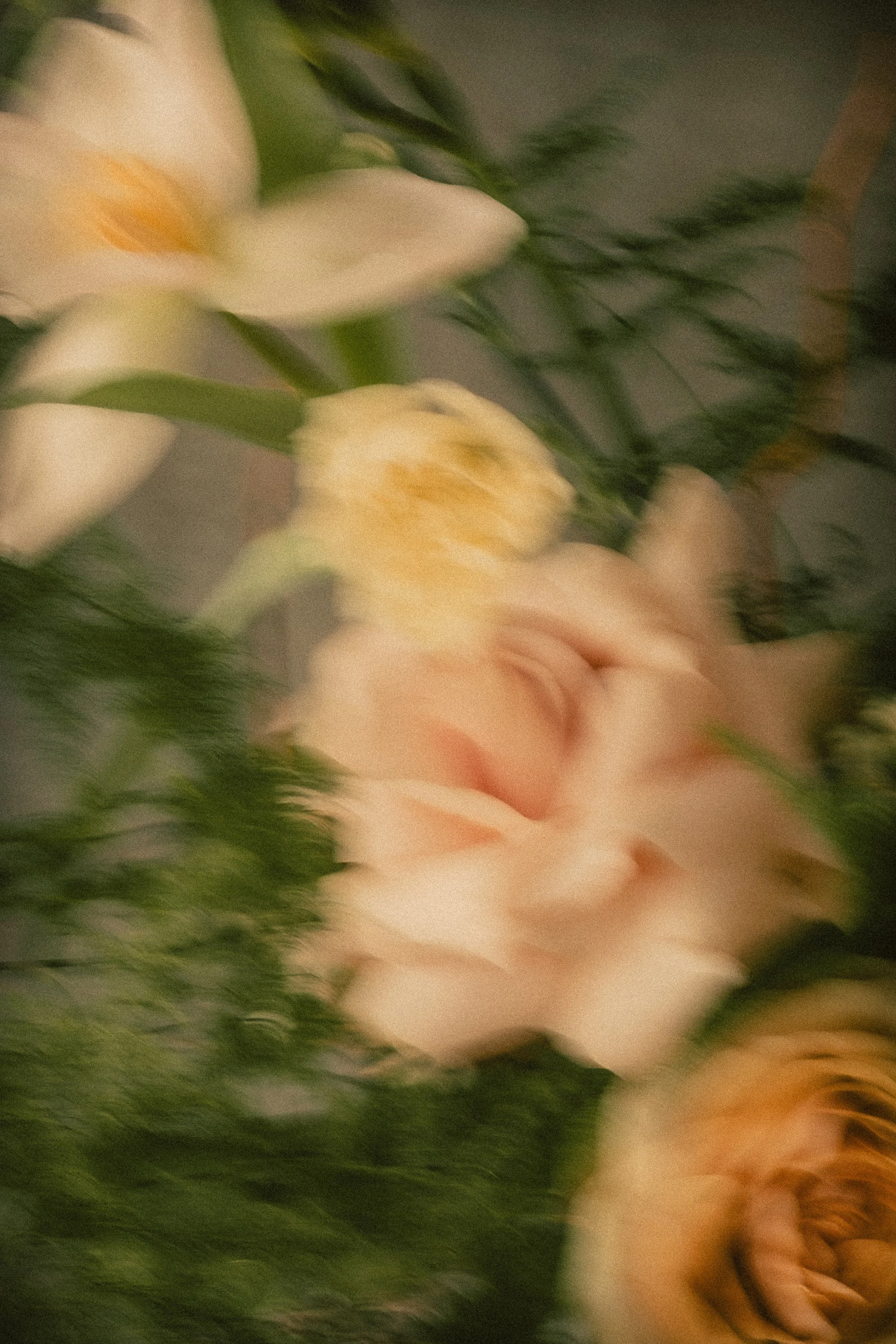 2026_KirstieFox_Eliartistudio-9.jpg