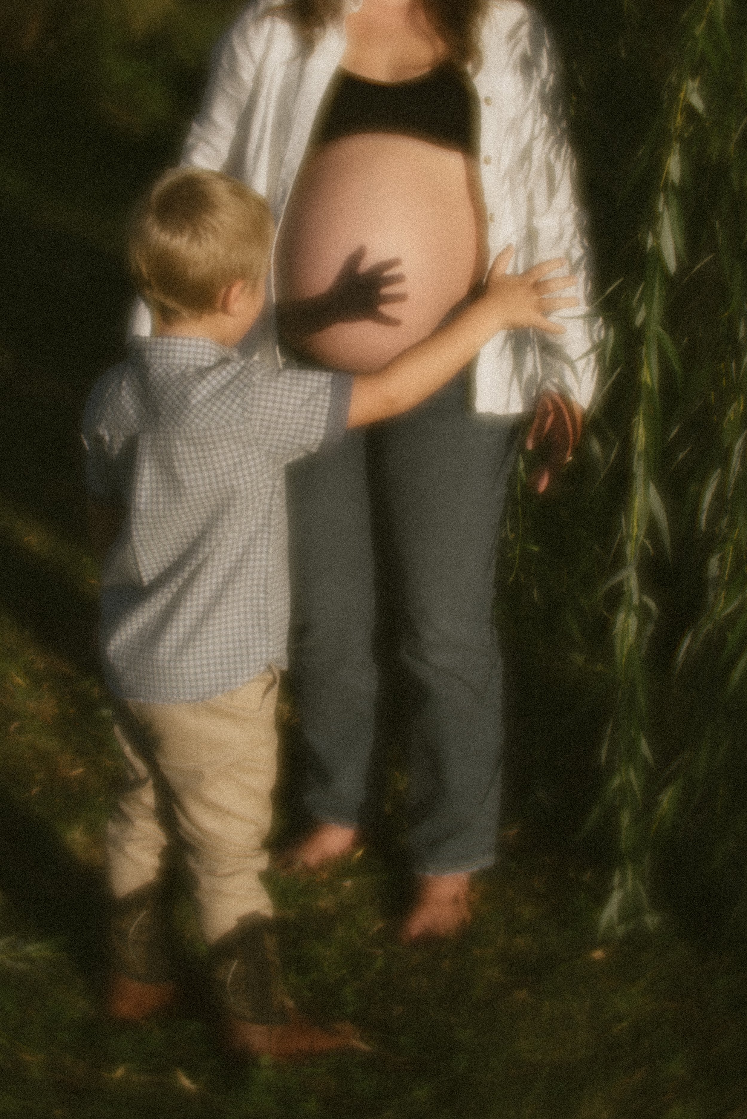 A young boy and a pregnant woman standing in a cornfield, with the boy touching the woman's baby bump, possibly during a maternity photo shoot.