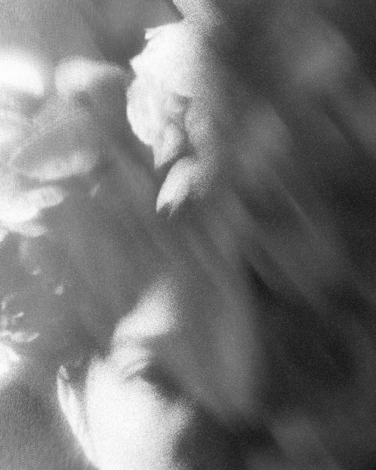 02_2025_DarkRomance_Creative-19-Edit.jpg
