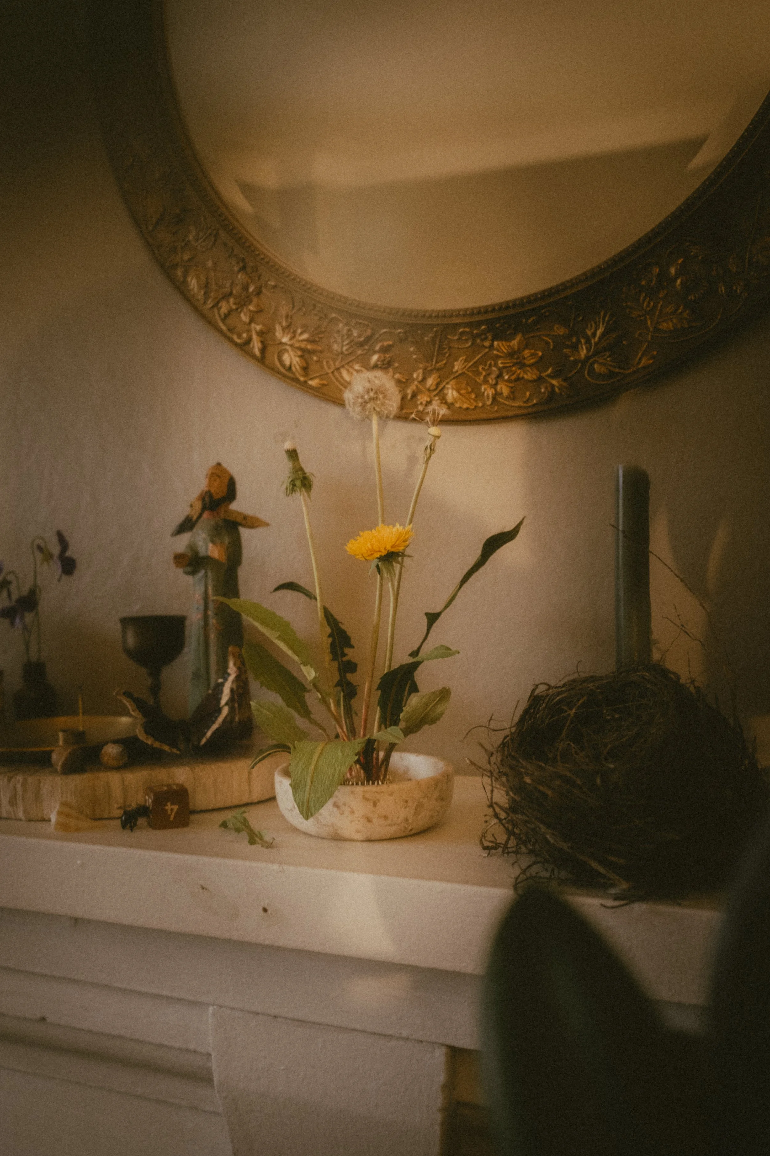 2026_03_KirstieFox_GoldenAgeBotanicals-127.jpg