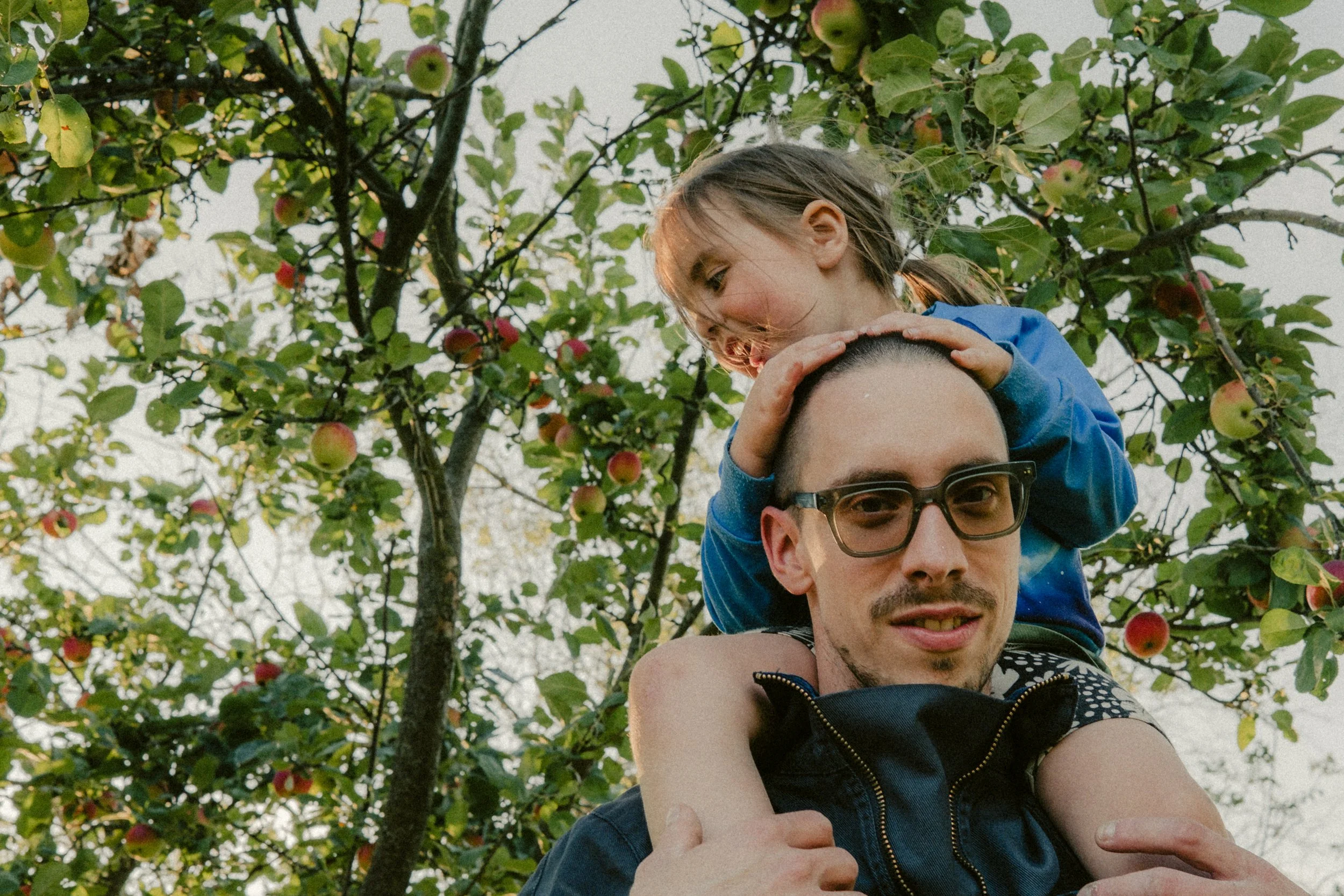 A man with glasses with a child on his shoulders in an apple orchard. The child is holding the man's head and leaning over.