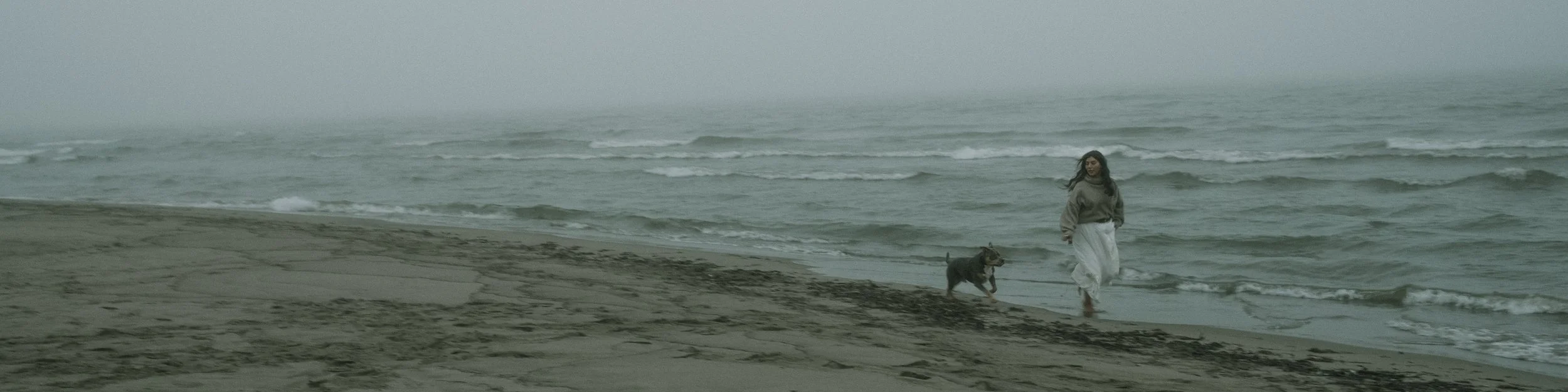 A woman and a dog walking along the shoreline on a foggy day at the beach.