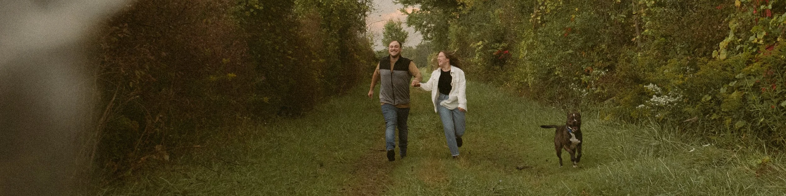 A man and woman walk a dog along a grassy trail surrounded by trees and bushes.