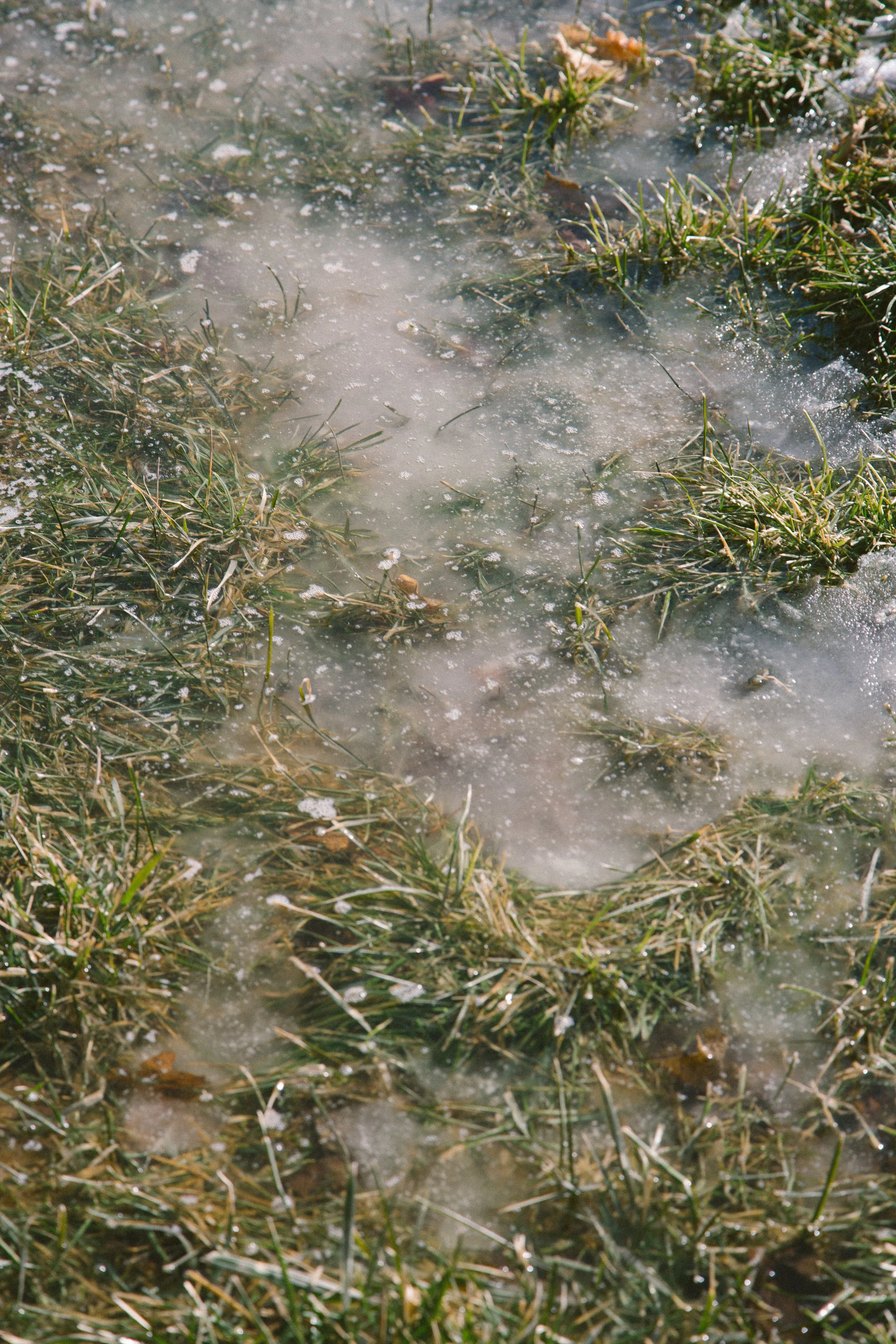 Frozen grass and moss on the ground with ice and snow patches.