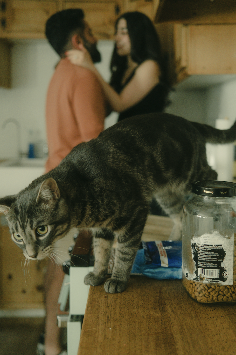 Screenshot 2025-12-05 at 7.28.47 PM.png