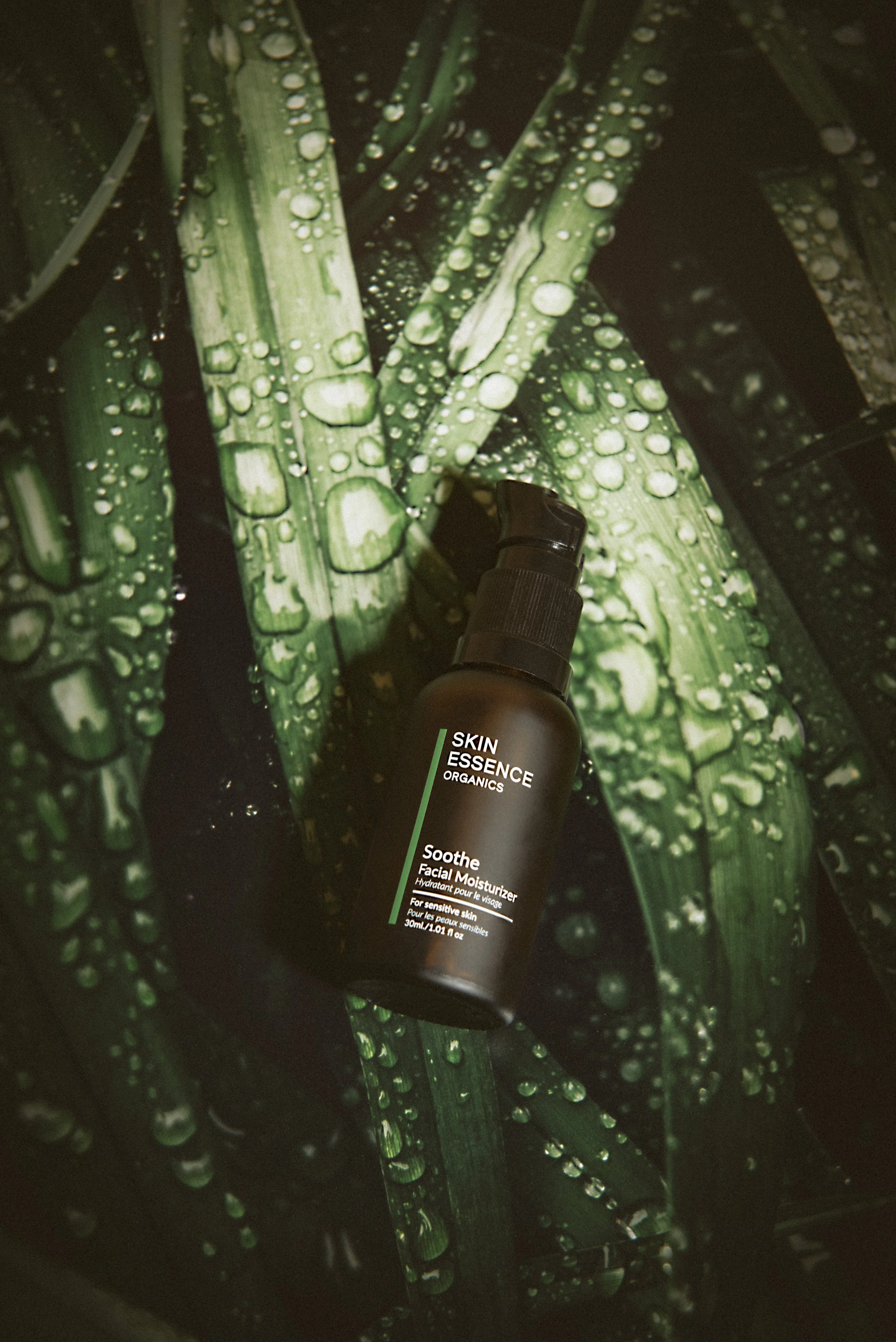 A bottle of Skin Essence Organics Soothe Facial Moisturizer placed on dark green leaves with water droplets.