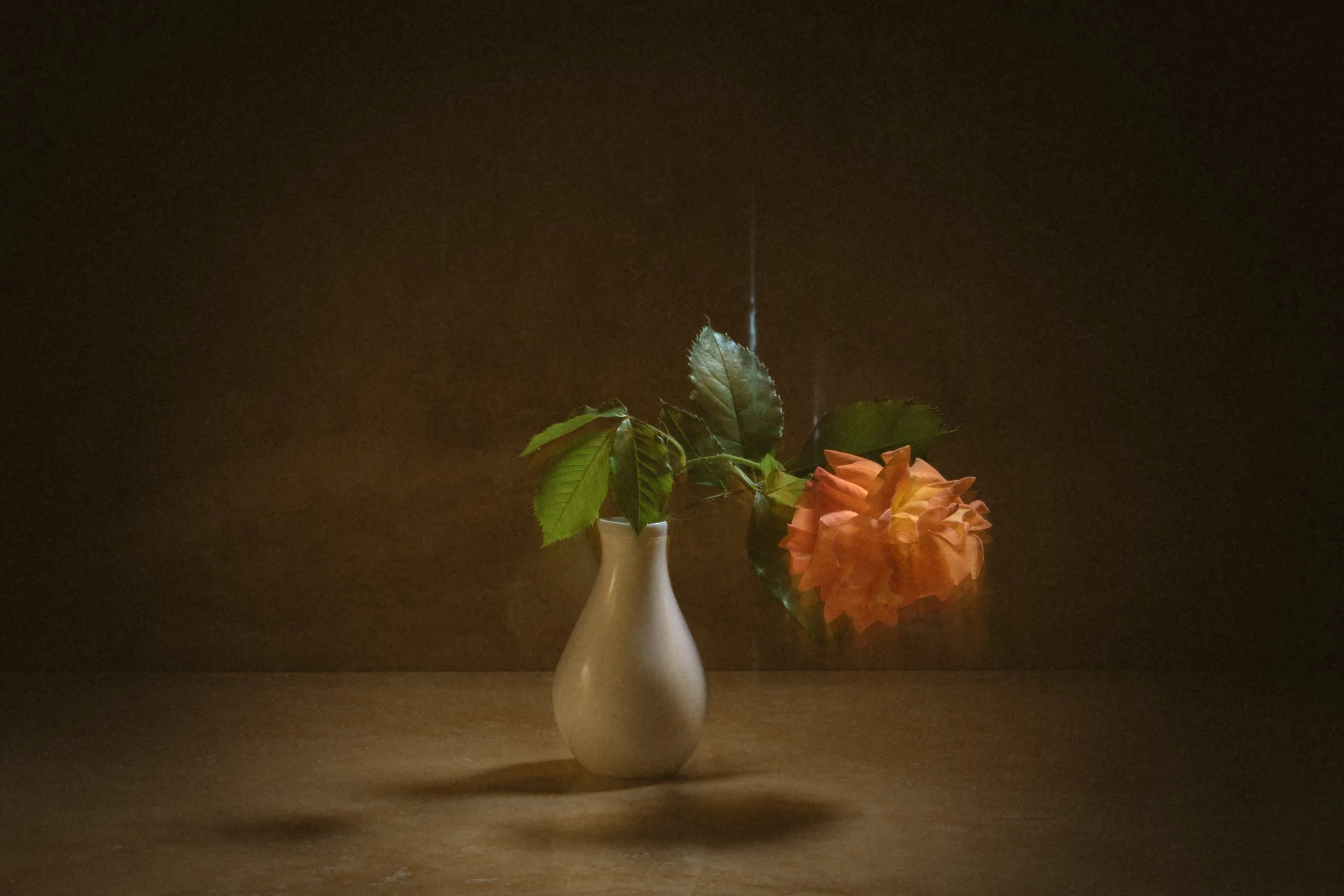A white ceramic vase with a single orange rose and green leaves, placed on a dark wooden surface against a dark background.
