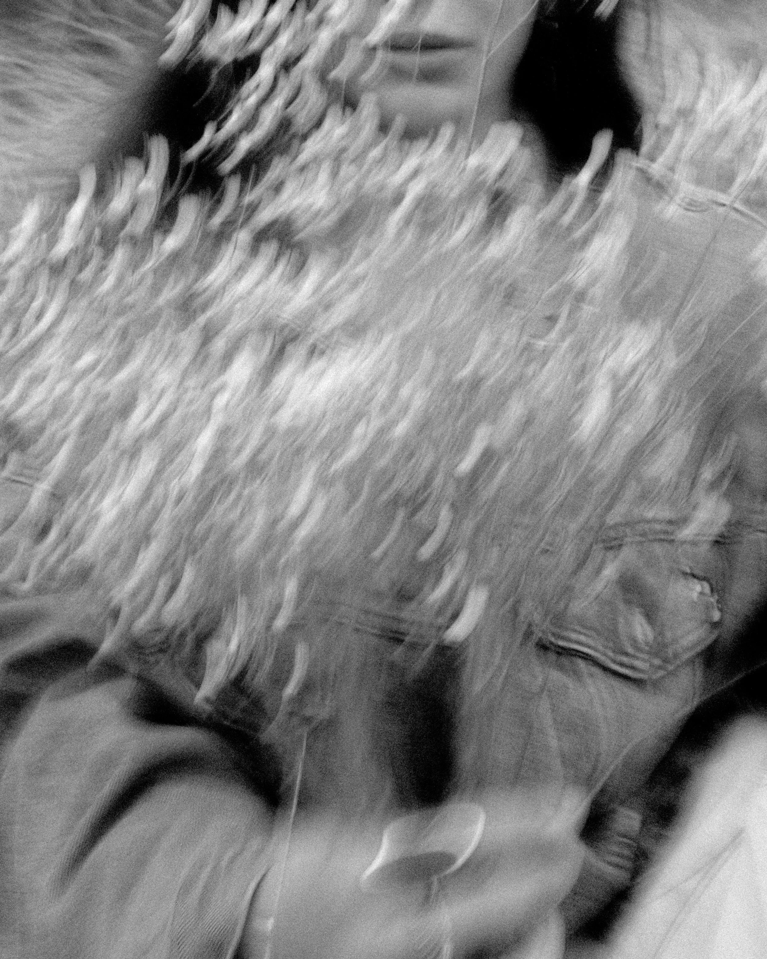 A blurry black and white photo showing a dog wearing a striped scarf and a person in jeans with a torn pocket, standing on a tiled floor.